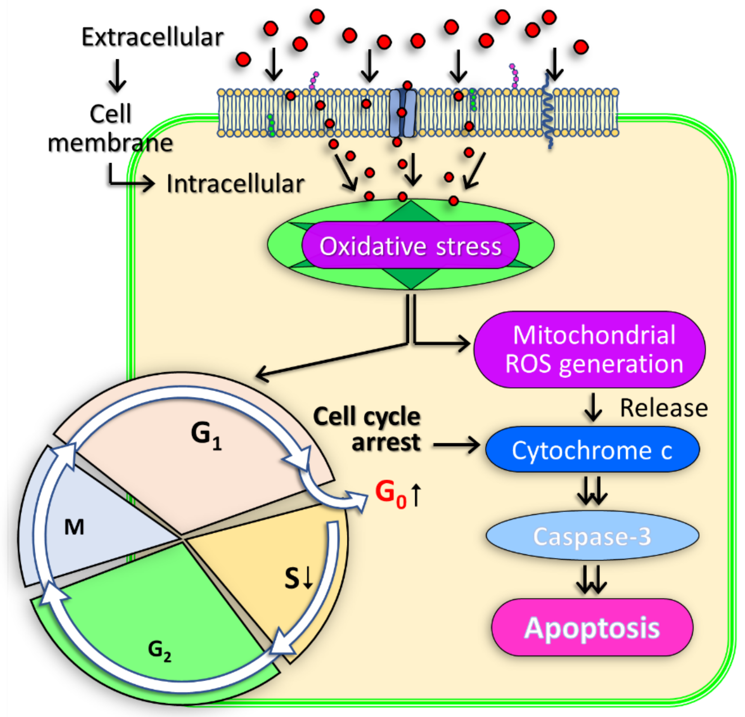 Plasma 05 00018 g005 Plasma 05 00018 g005