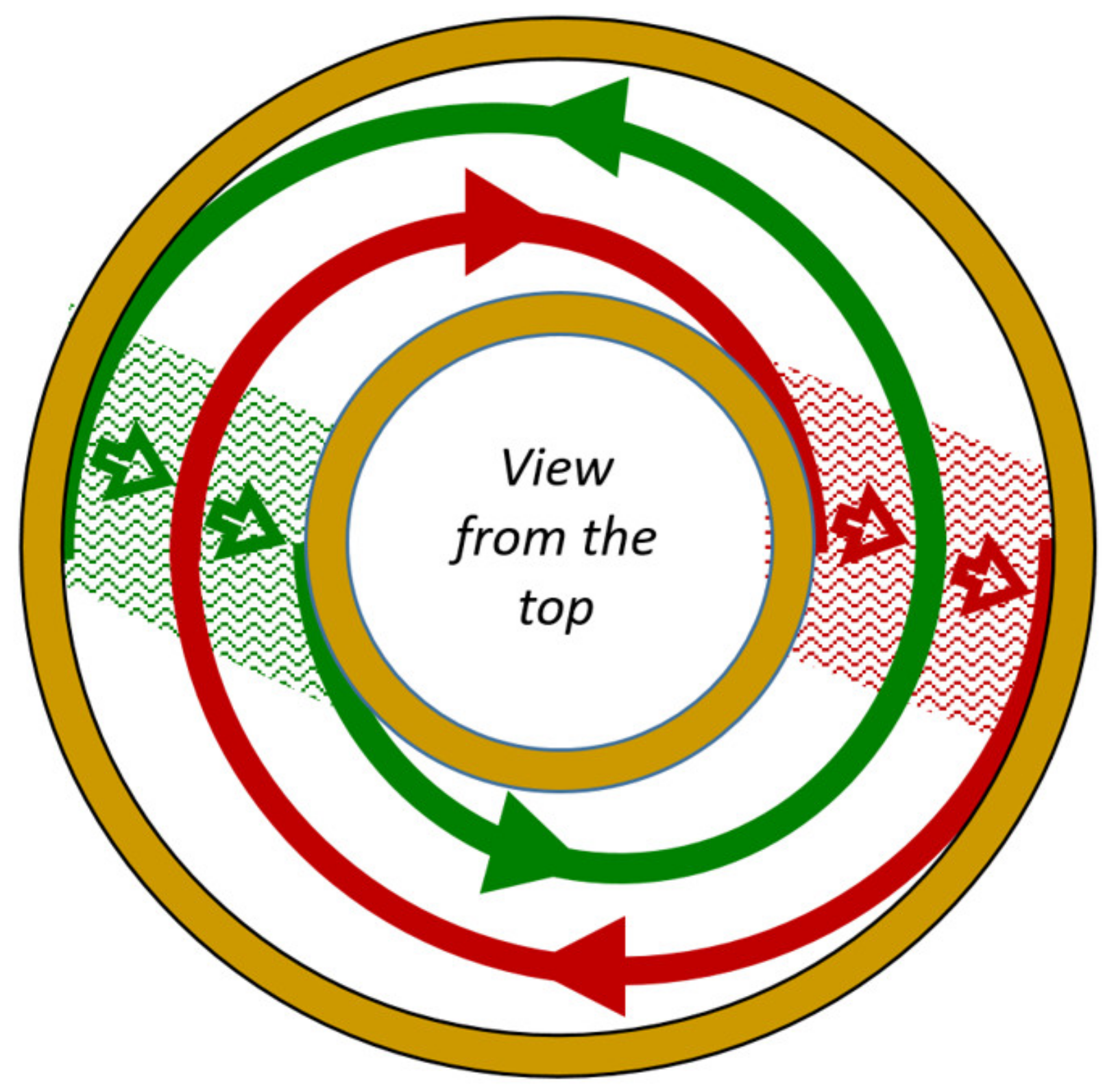 Plasma 05 00024 g002 550