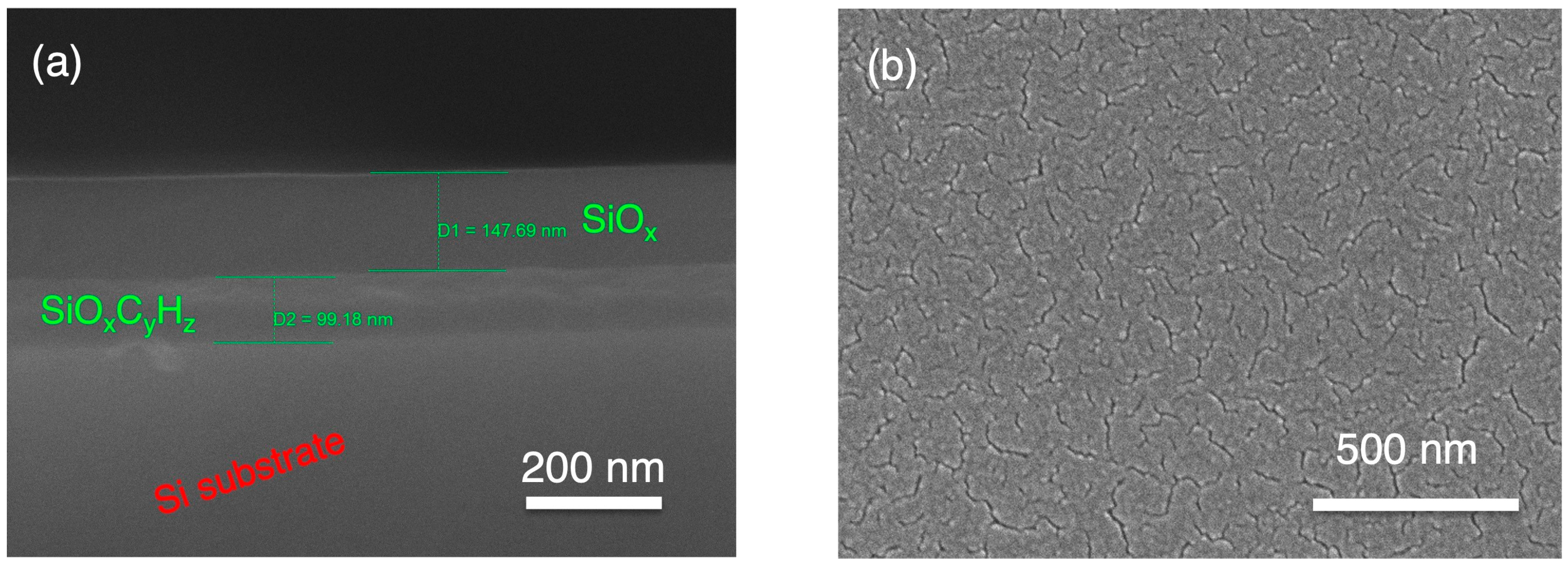 Plasma 05 00033 g003