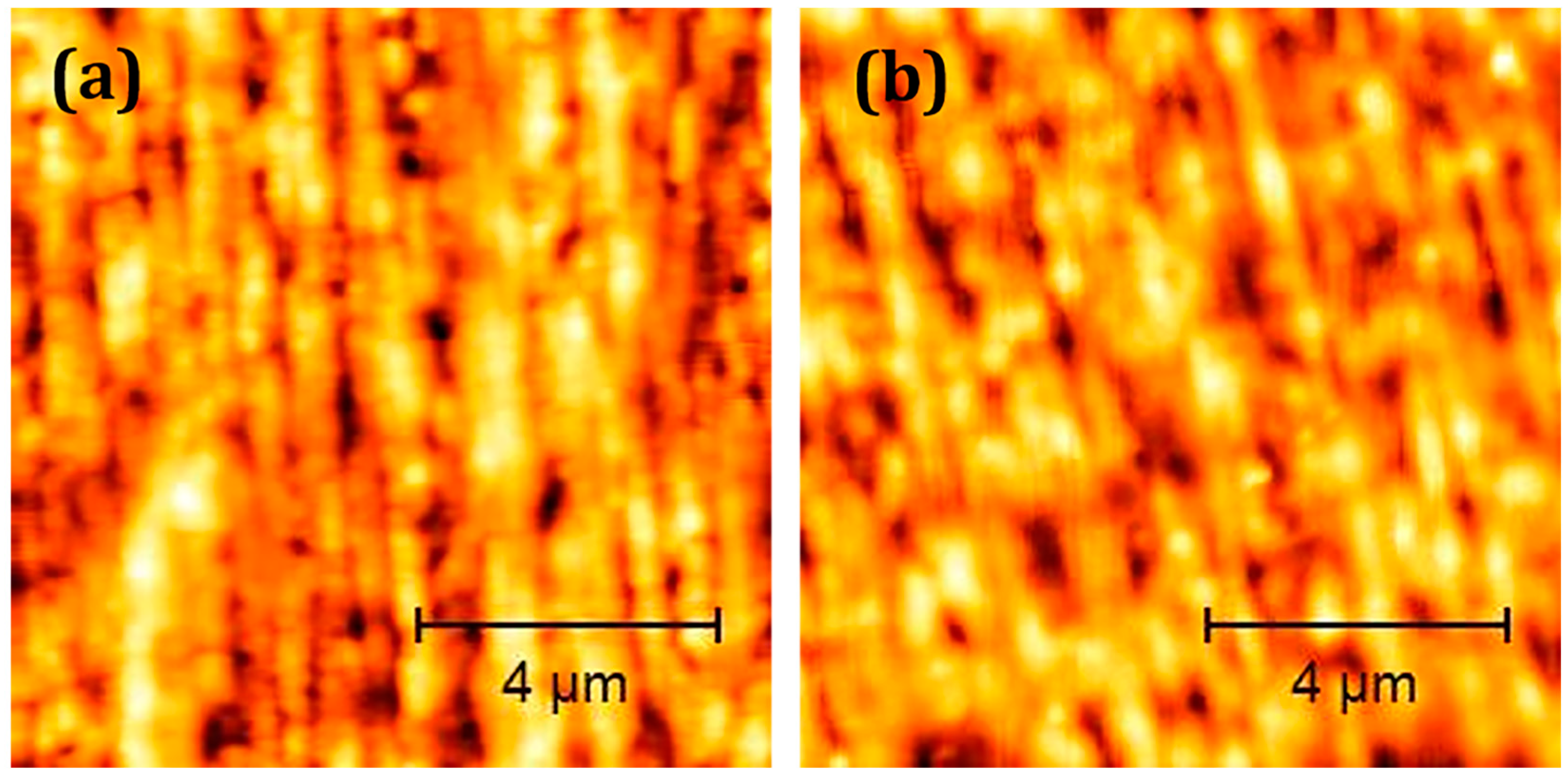 Plasma 05 00033 g004
