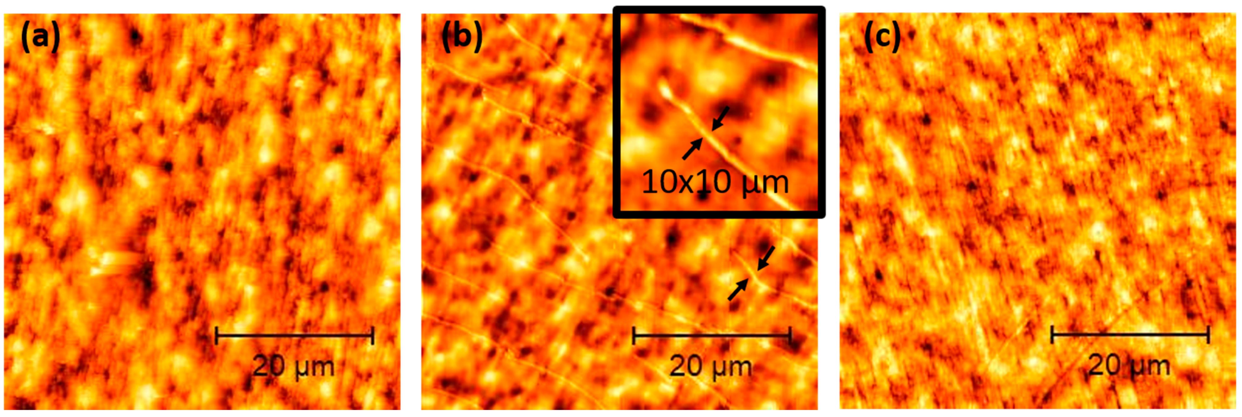 Plasma 05 00033 g007
