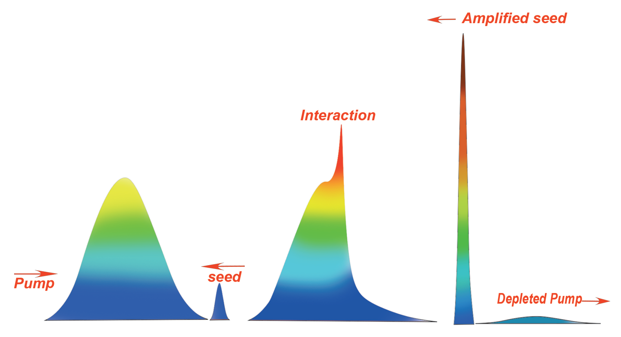 Plasma 05 00037 g002
