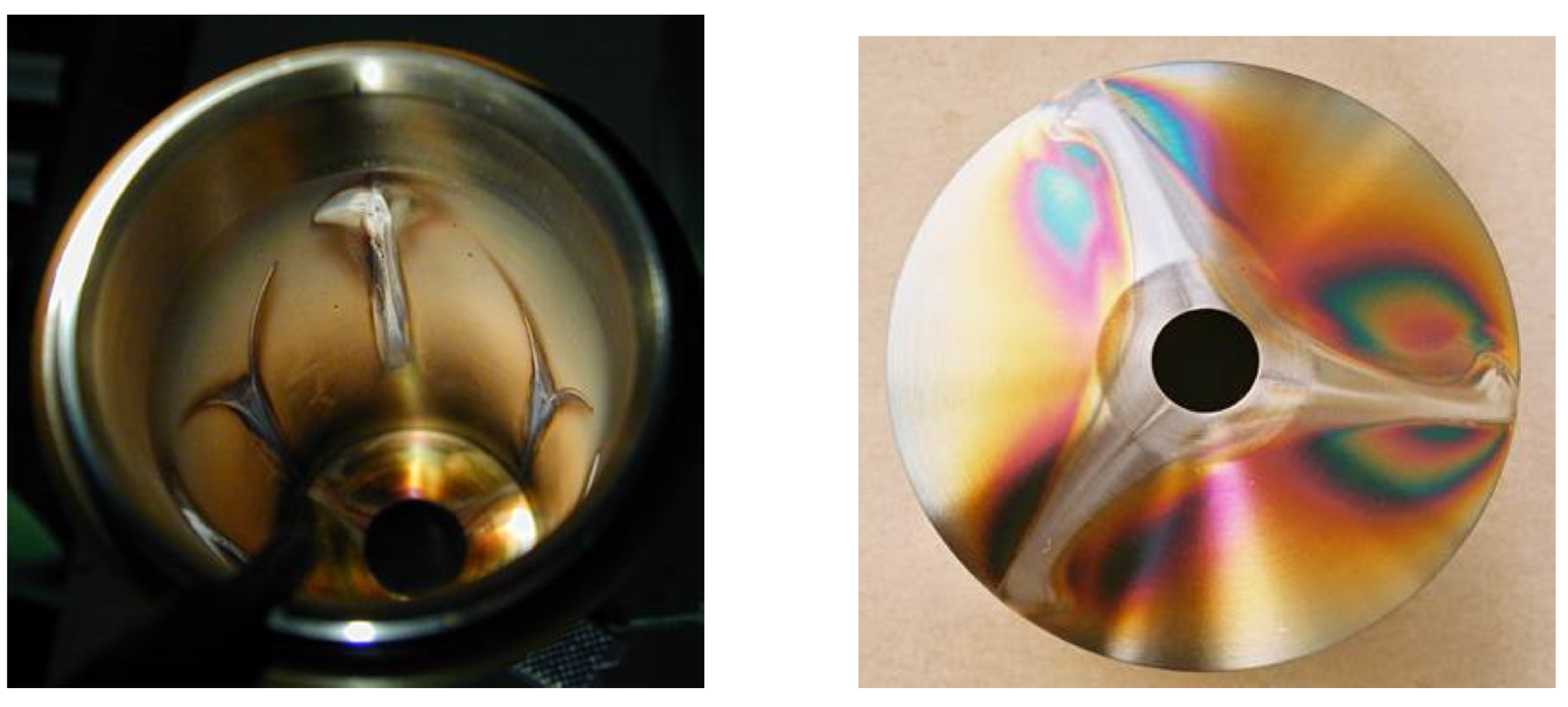 Plasma 05 00038 g002