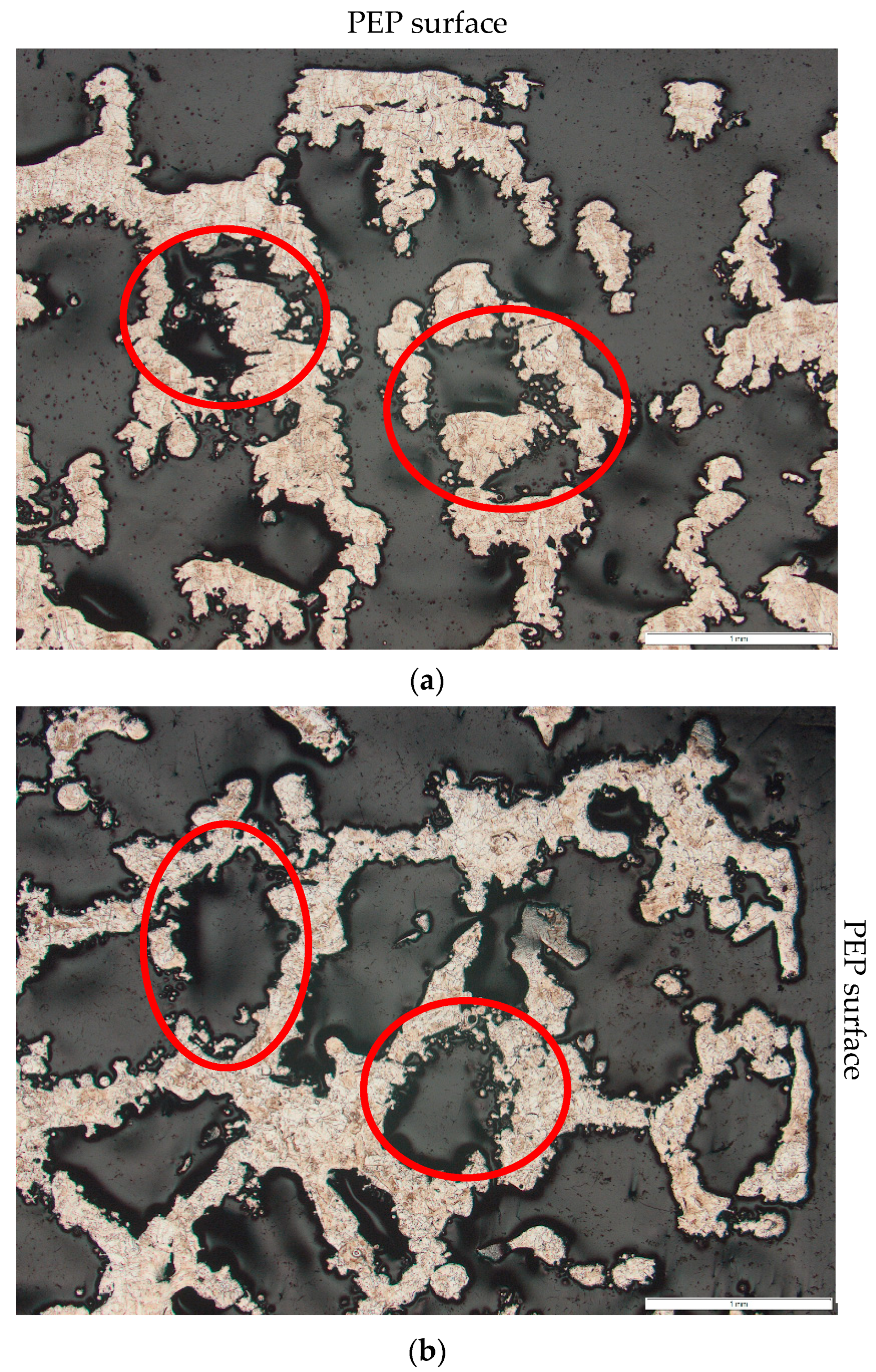 Plasma 05 00039 g005 Plasma 05 00039 g005