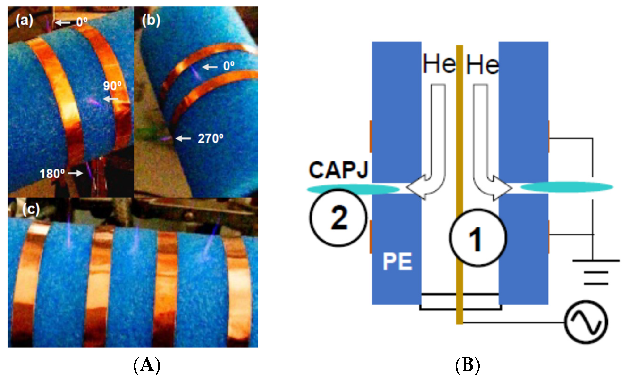 Plasma 06 00007 g009
