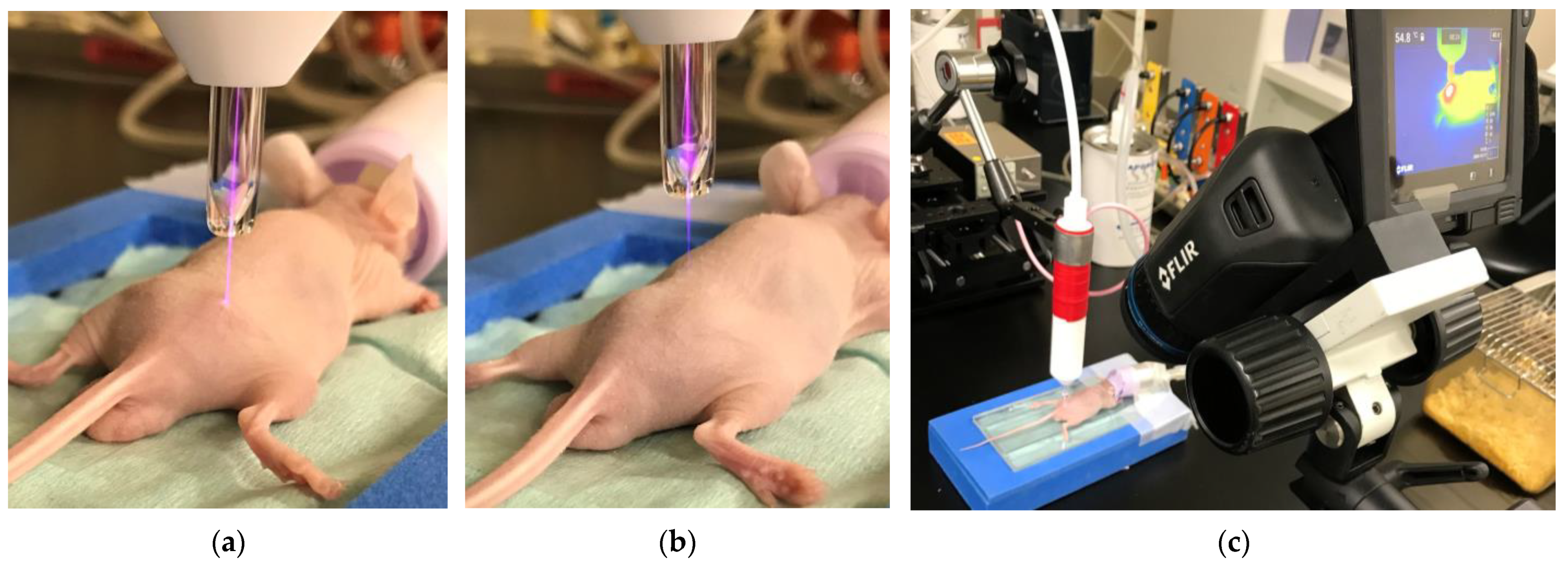 Plasma 06 00009 g002