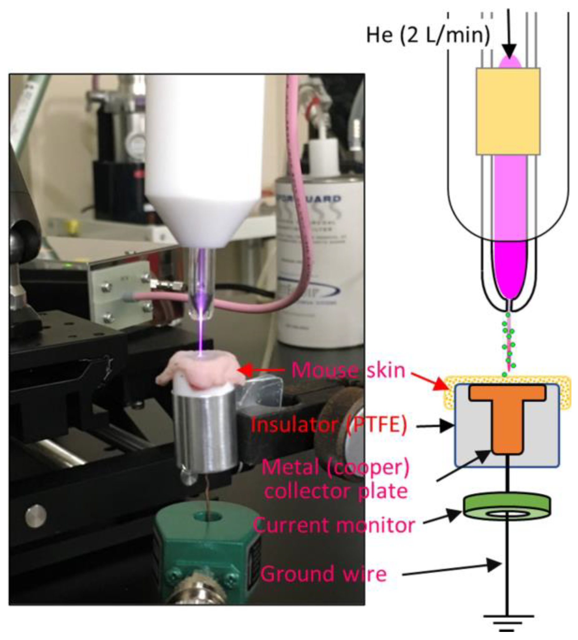 Plasma 06 00009 g006