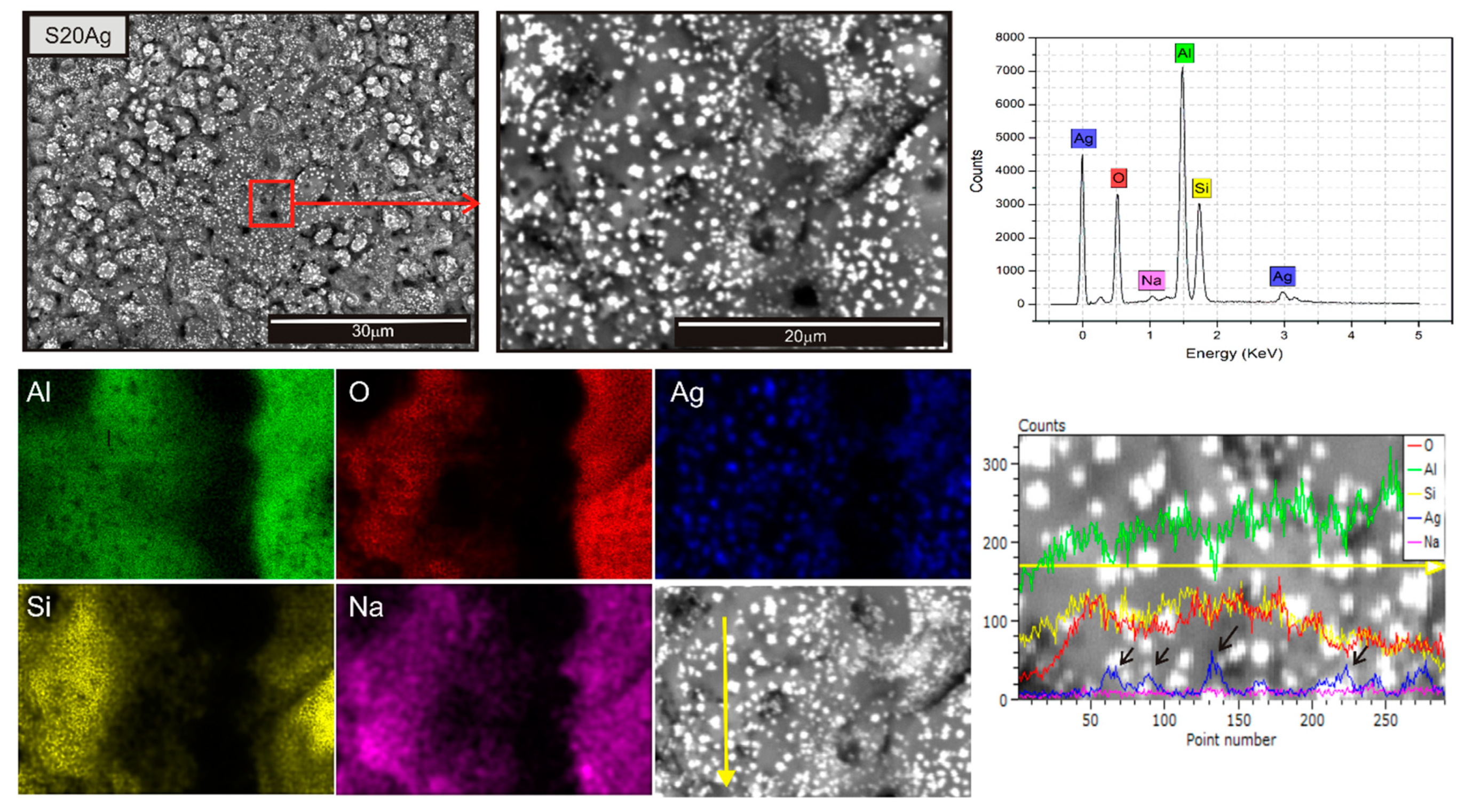 Plasma 06 00018 g003
