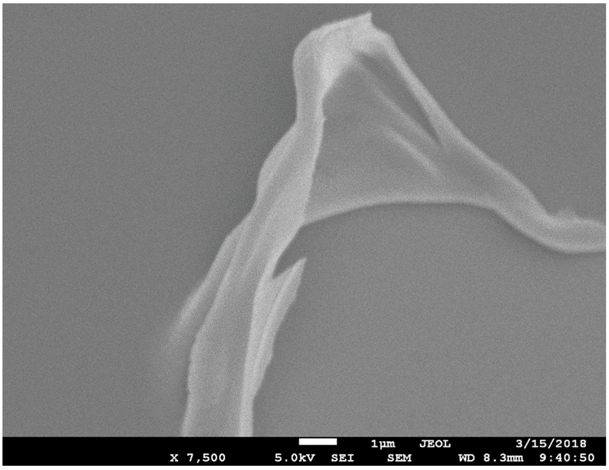 Plasma 06 00022 g003