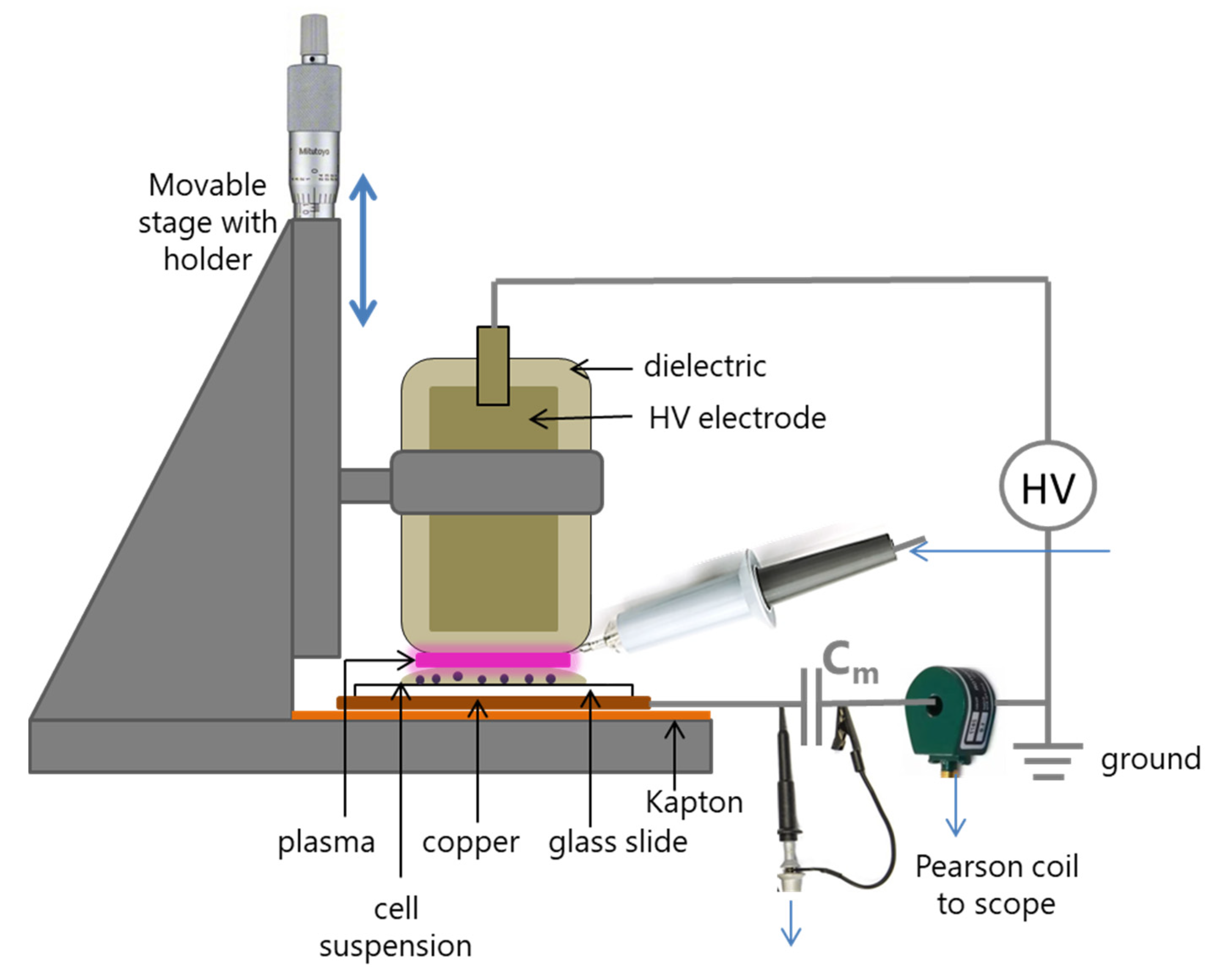 Plasma 06 00040 g002