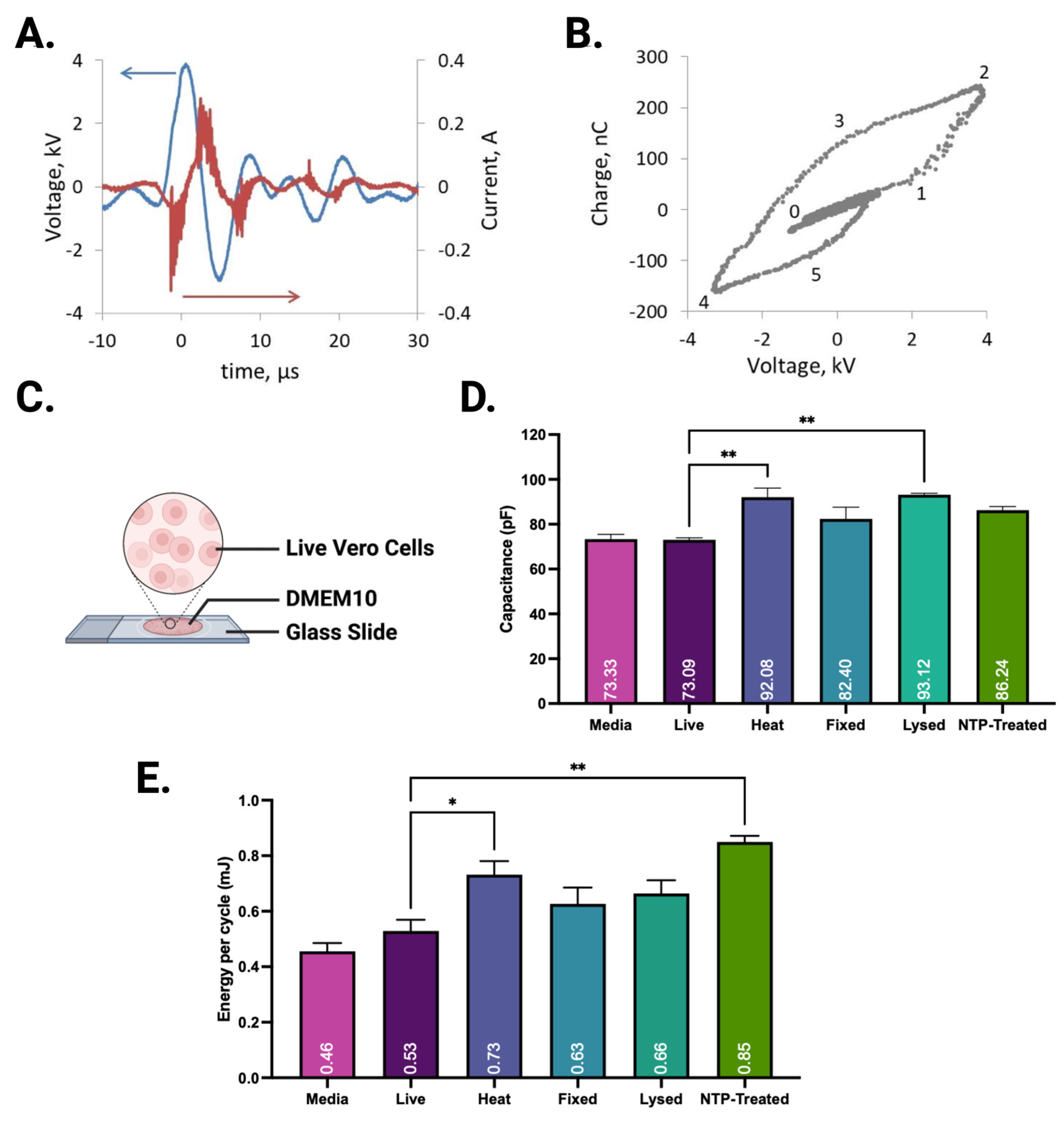 Plasma 06 00040 g004