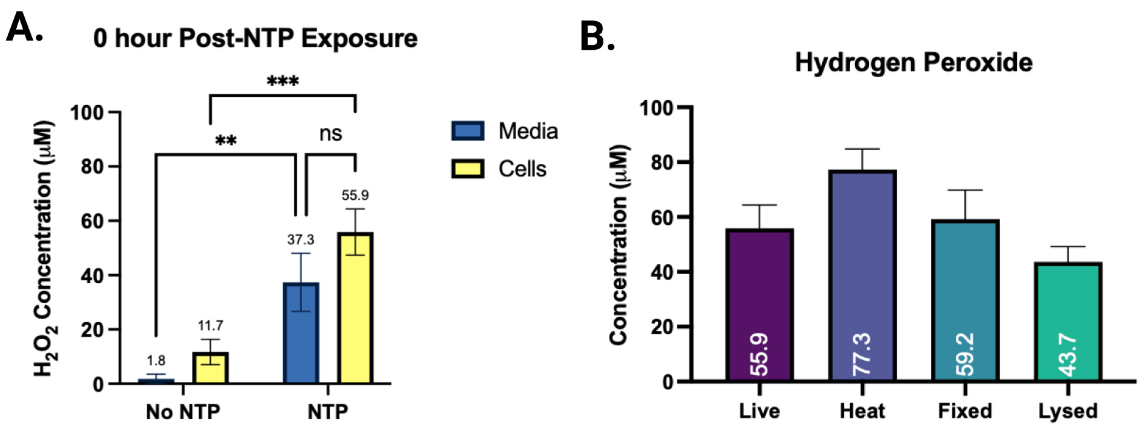 Plasma 06 00040 g006