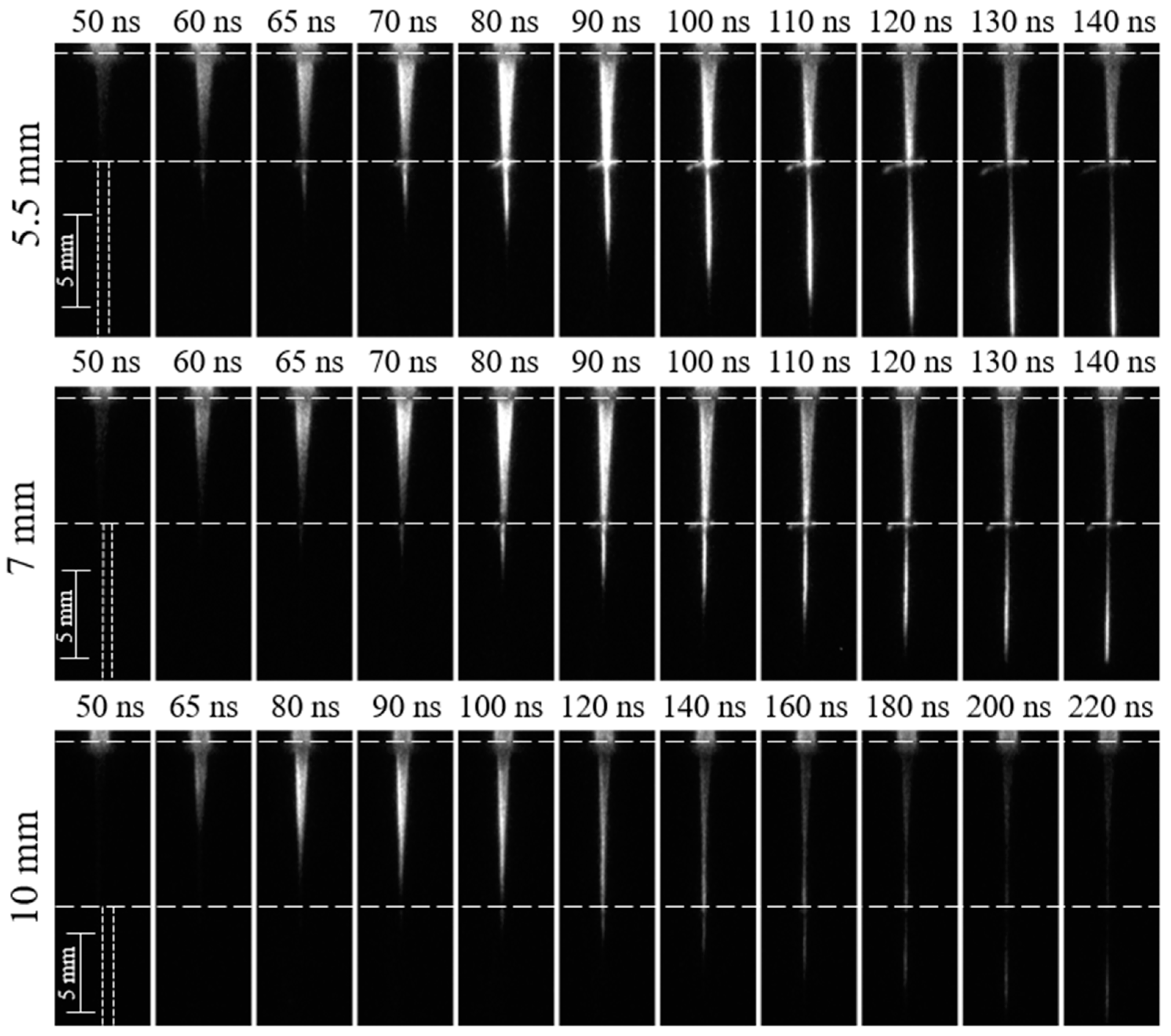Plasma 06 00046 g008