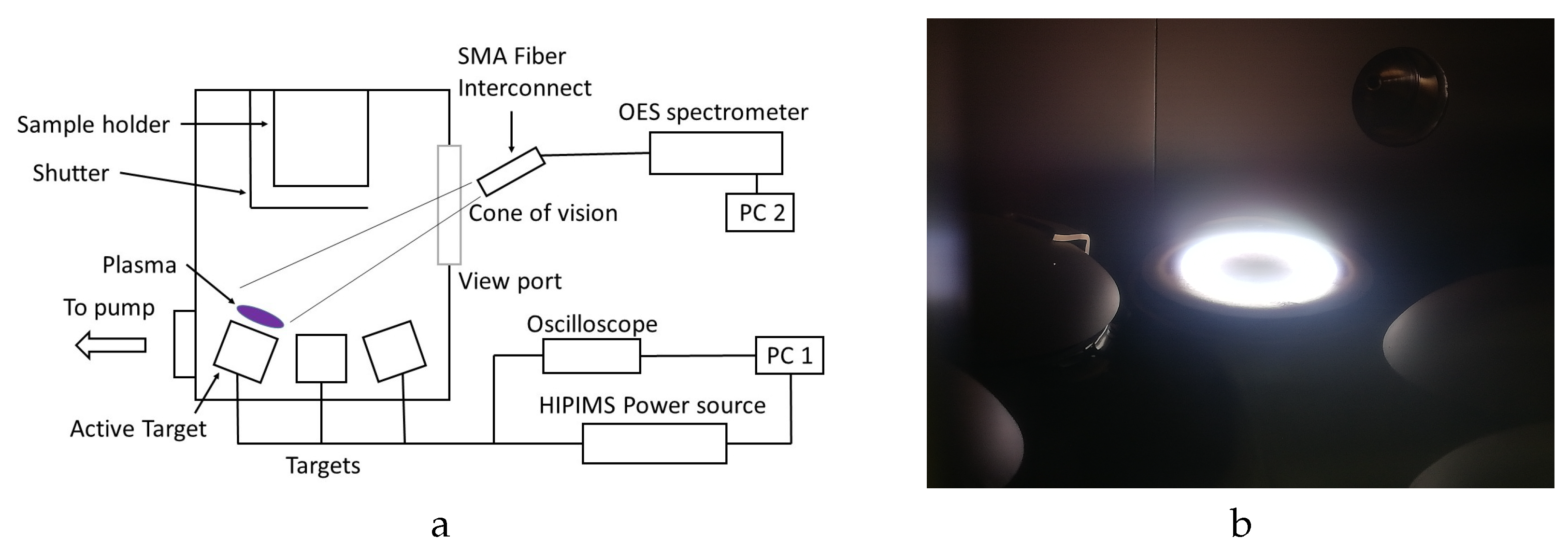 Plasma 06 00047 g001