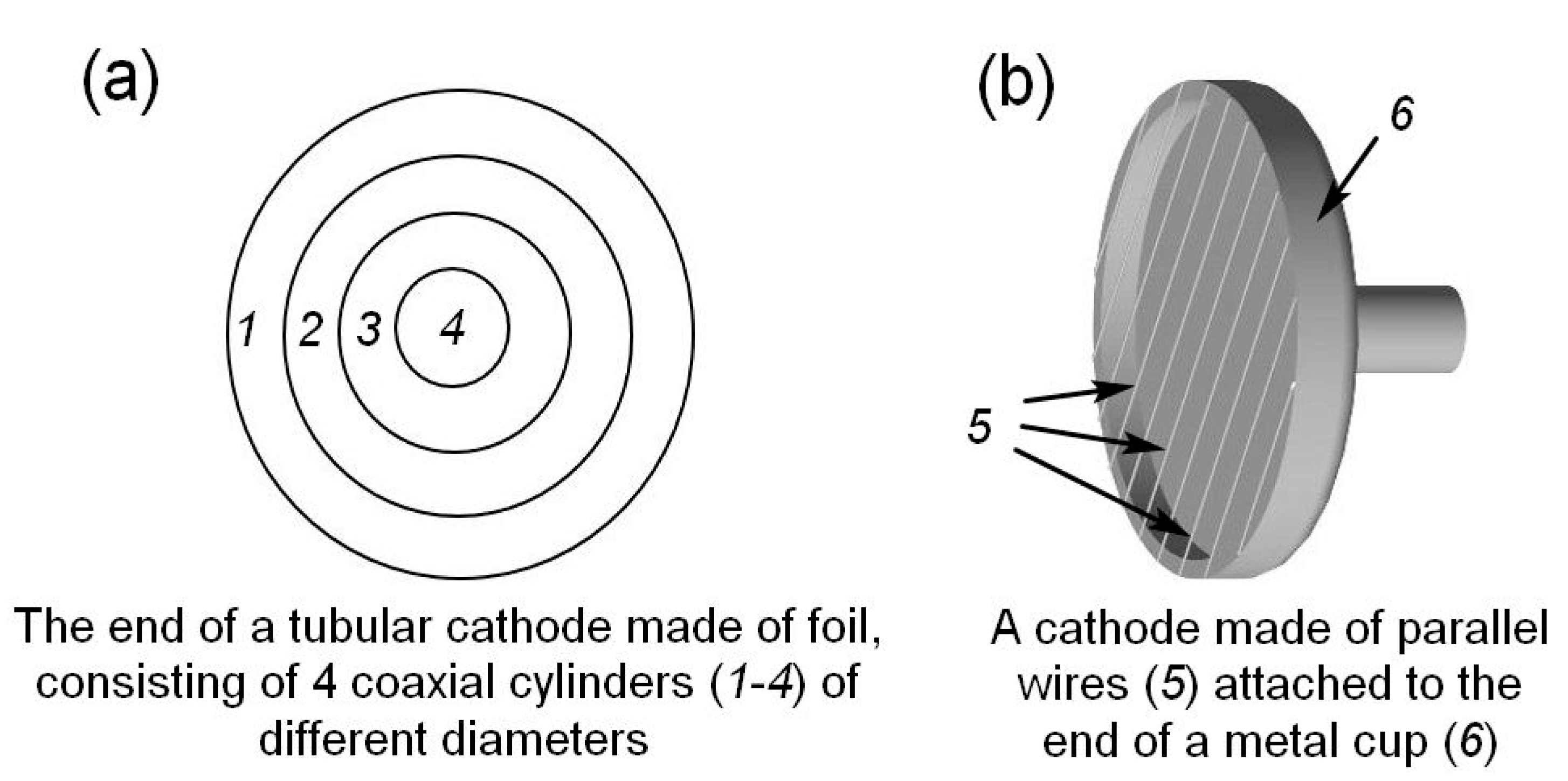 Plasma 07 00013 g012