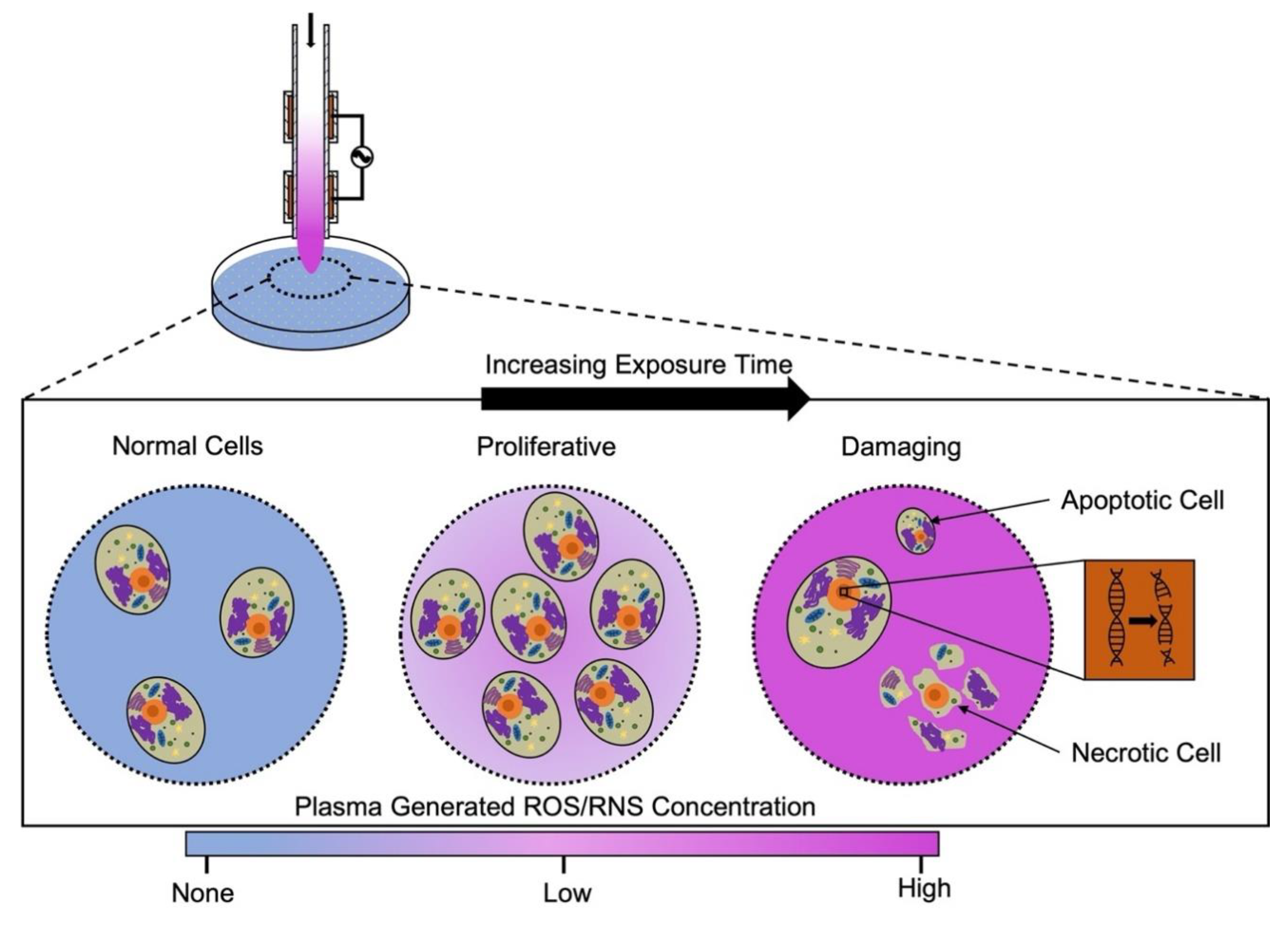 Plasma 07 00014 g004
