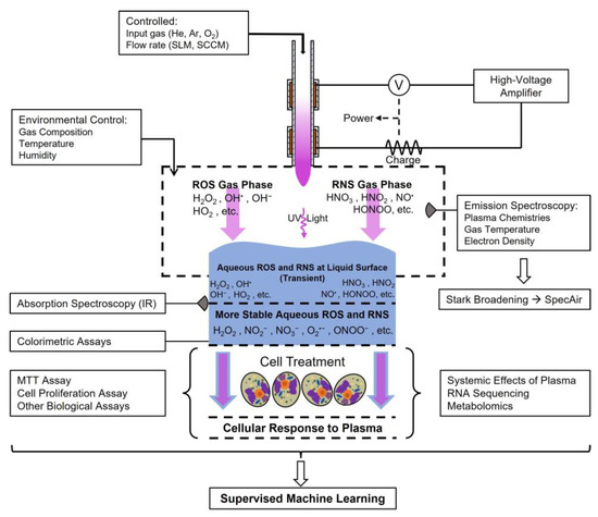 Cold Atmospheric Plasma Medicine: Applications, Challenges, and