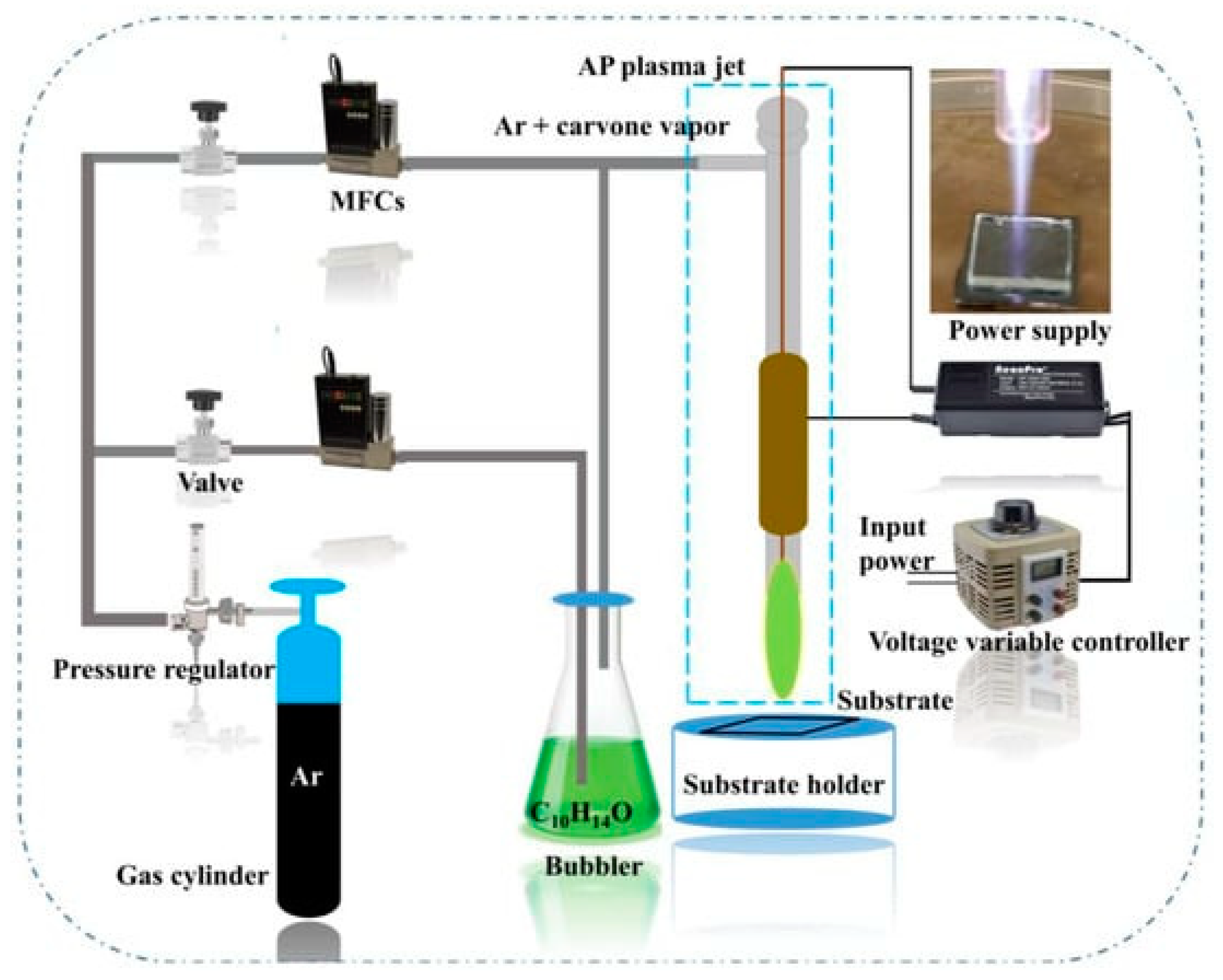 Plasma 07 00016 g002