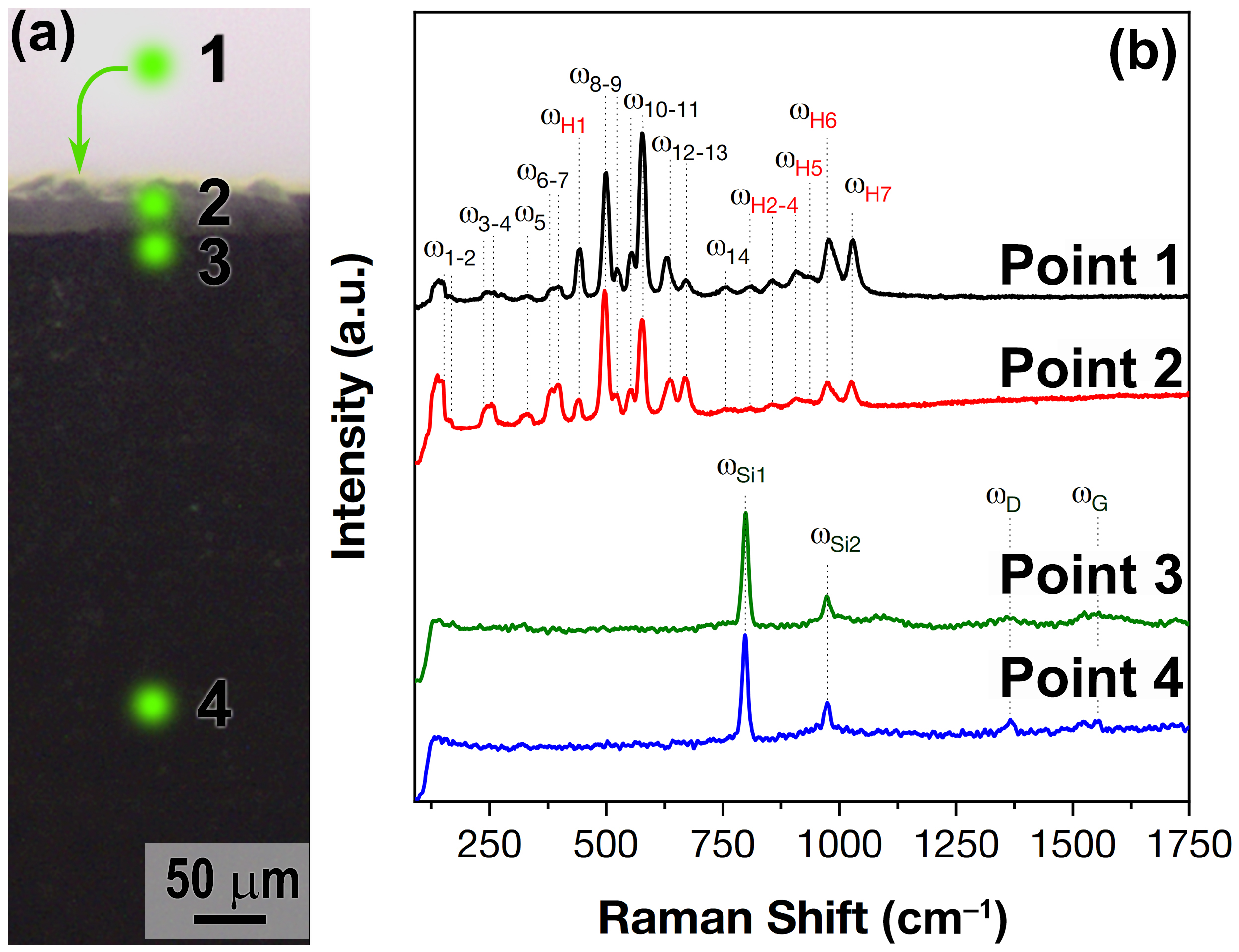 Plasma 07 00017 g011