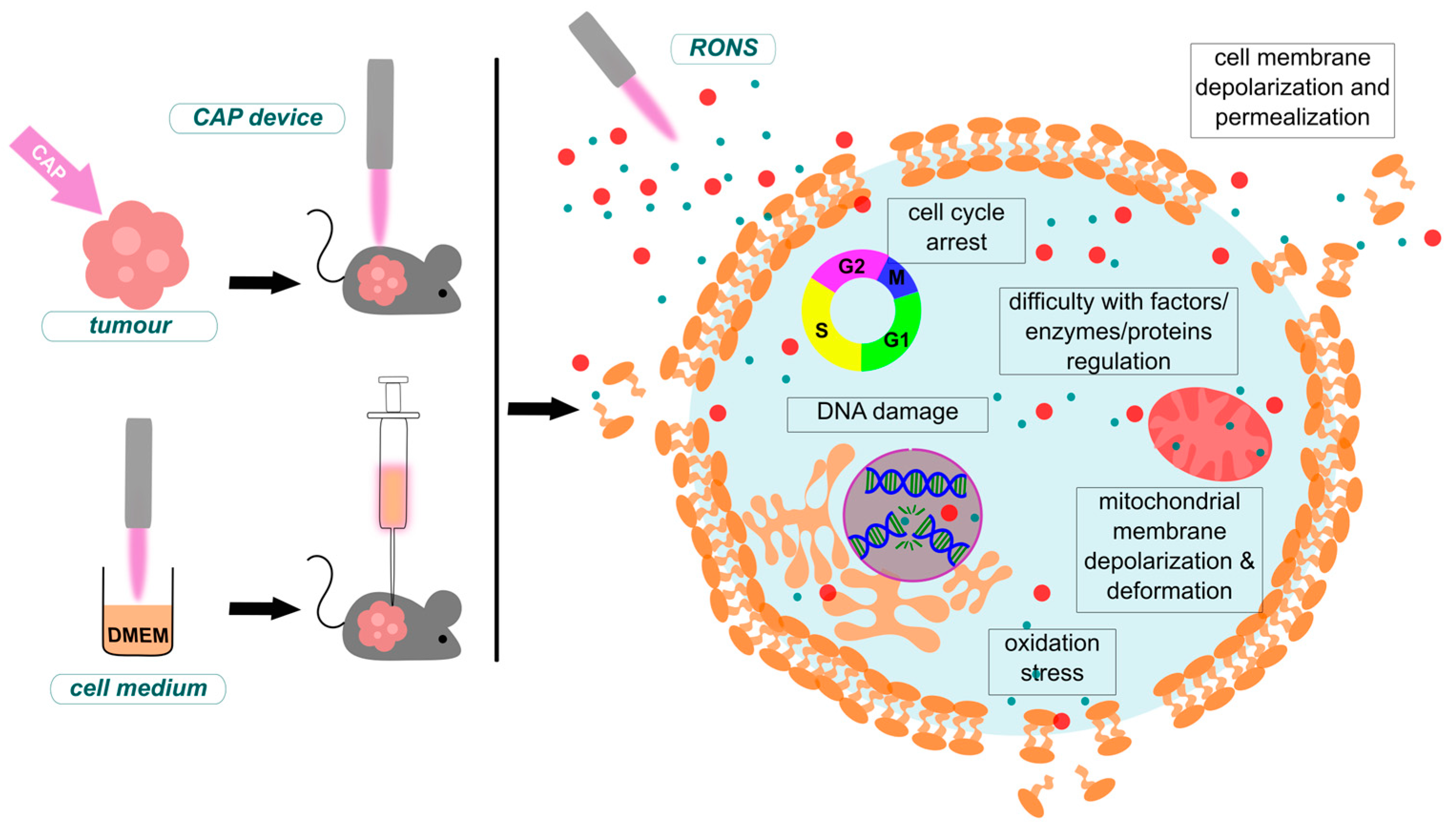 Plasma 07 00025 g004 Plasma 07 00025 g004