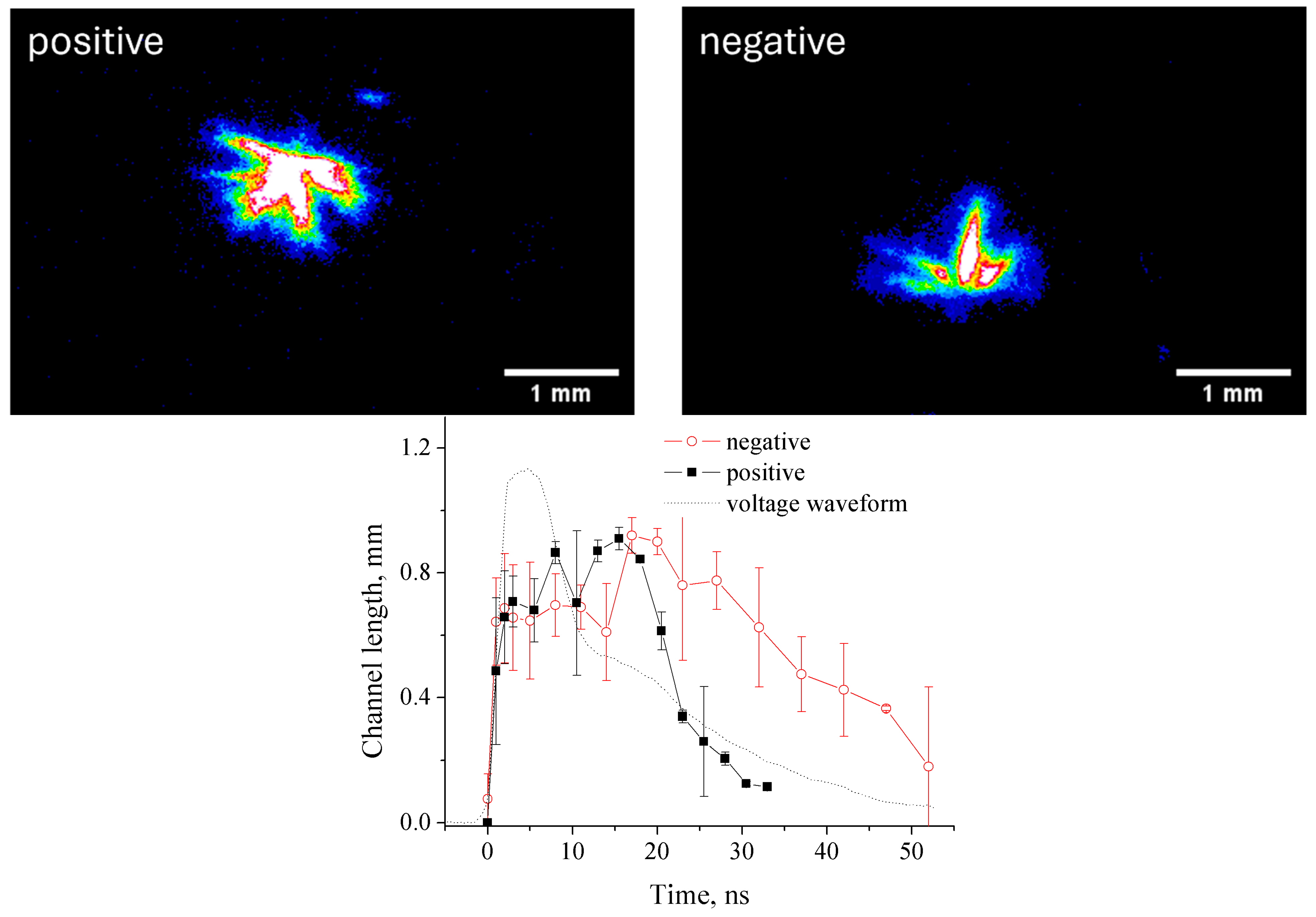 Plasma 07 00027 g003