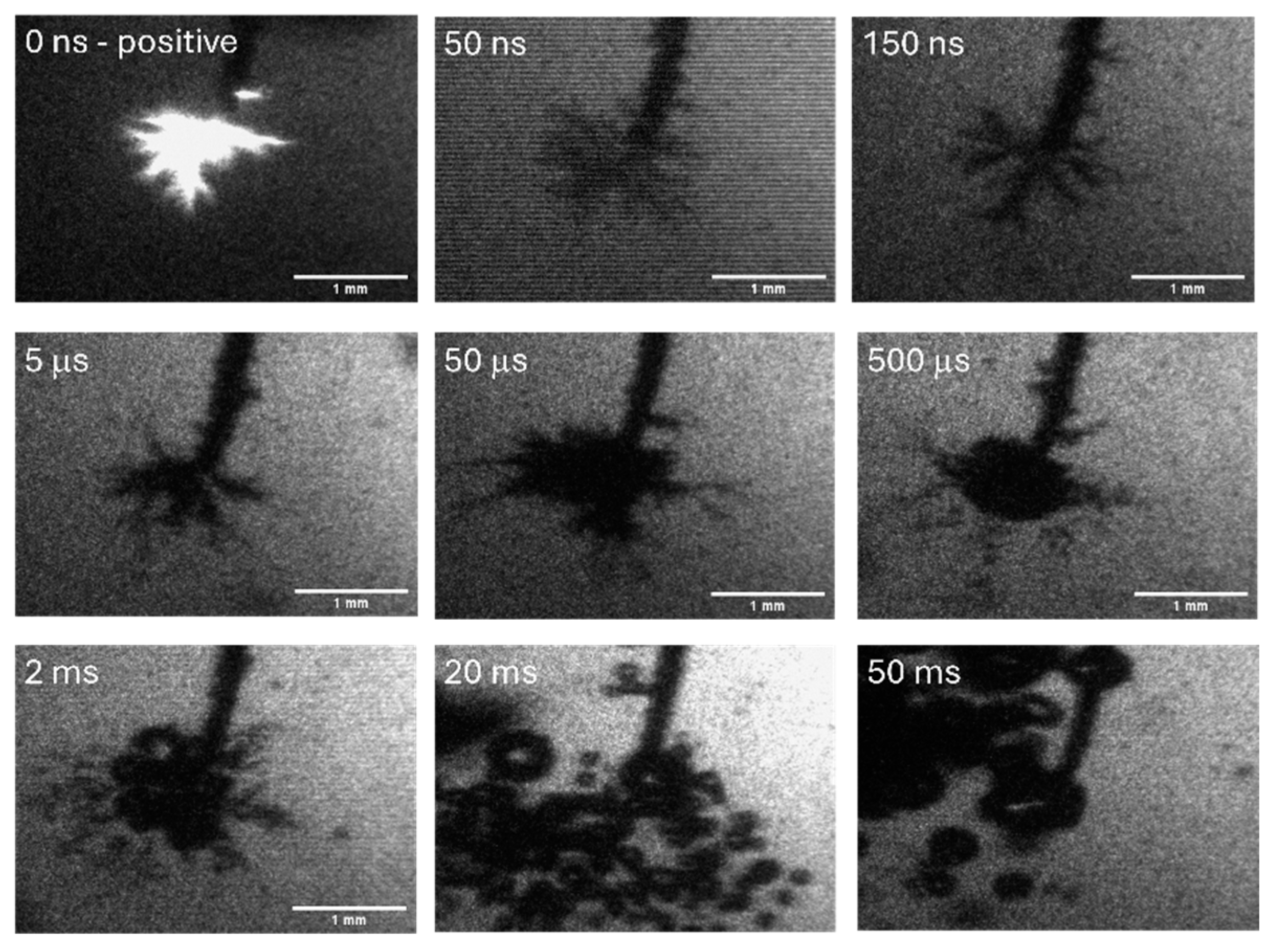 Plasma 07 00027 g004a