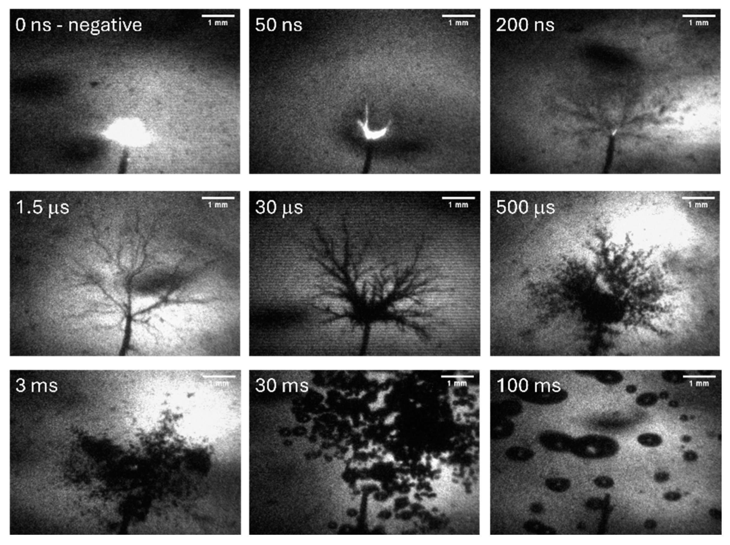 Plasma 07 00027 g004b