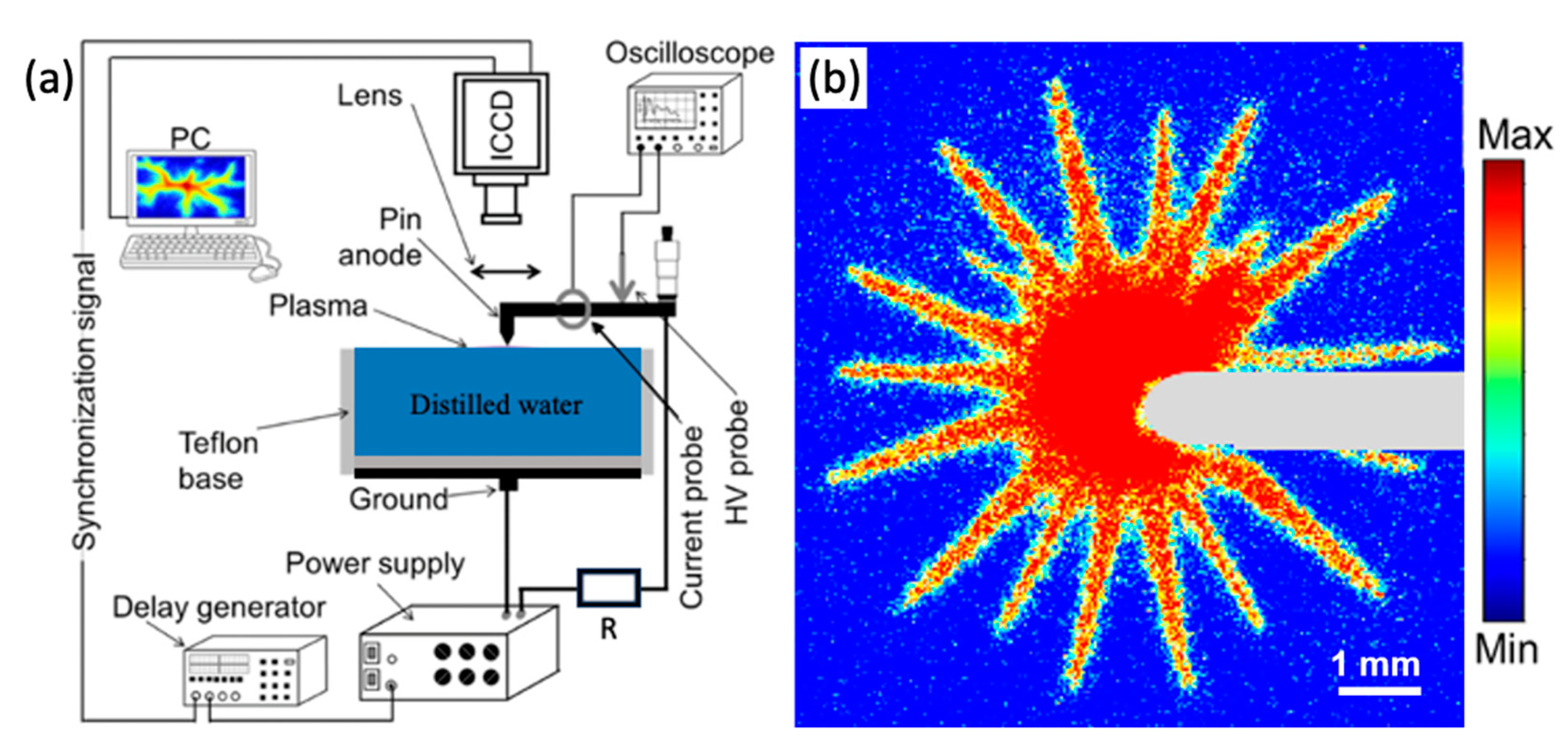 Plasma 07 00032 g001