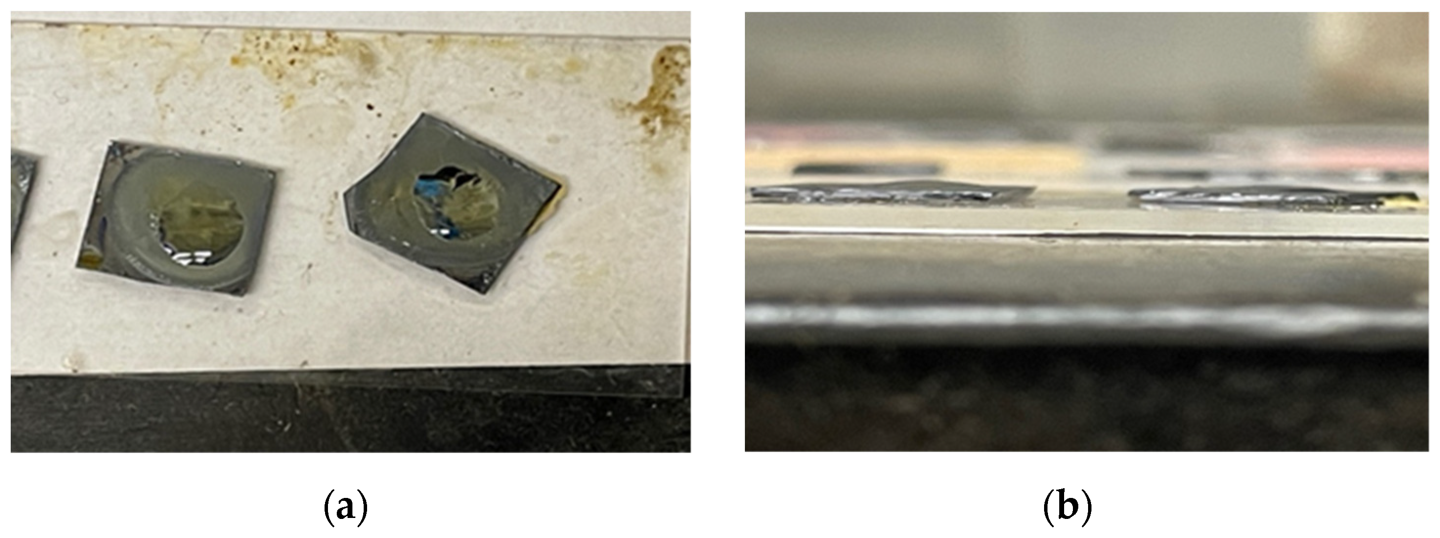 Plasma 07 00047 g004