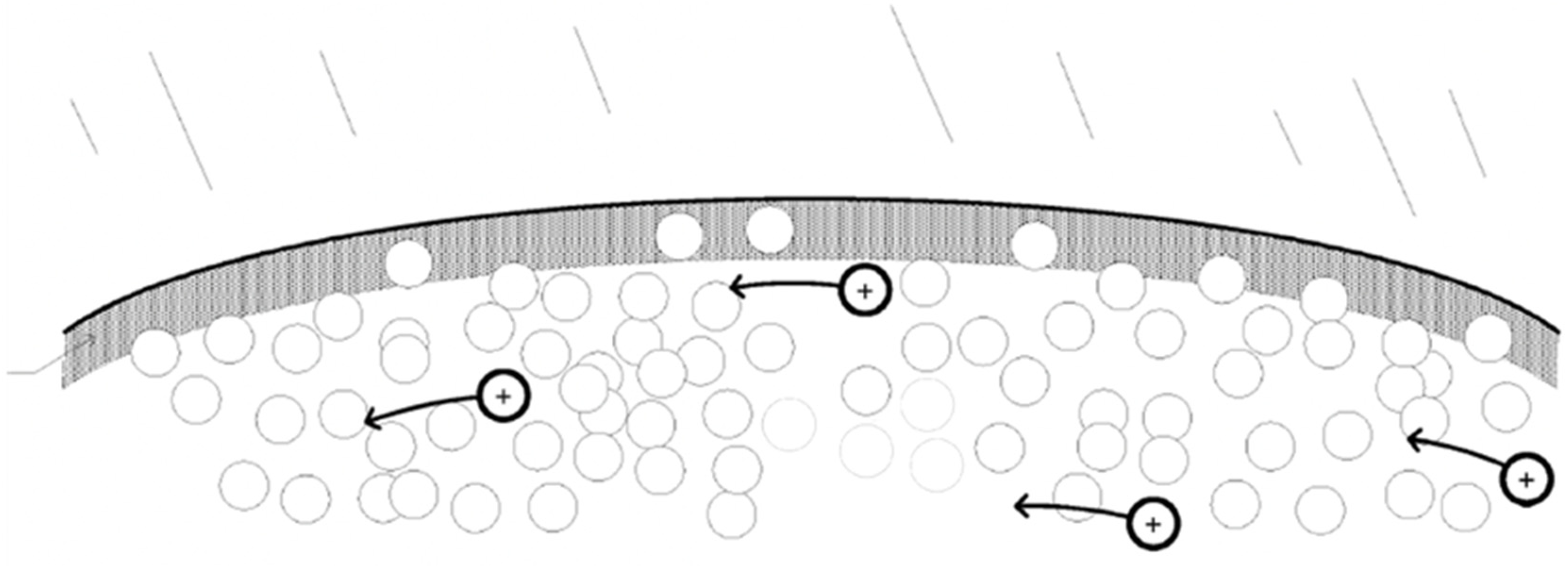 Plasma 08 00004 g004