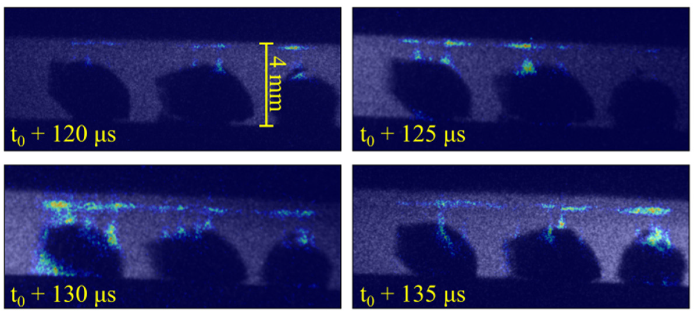 Plasma 08 00011 g006