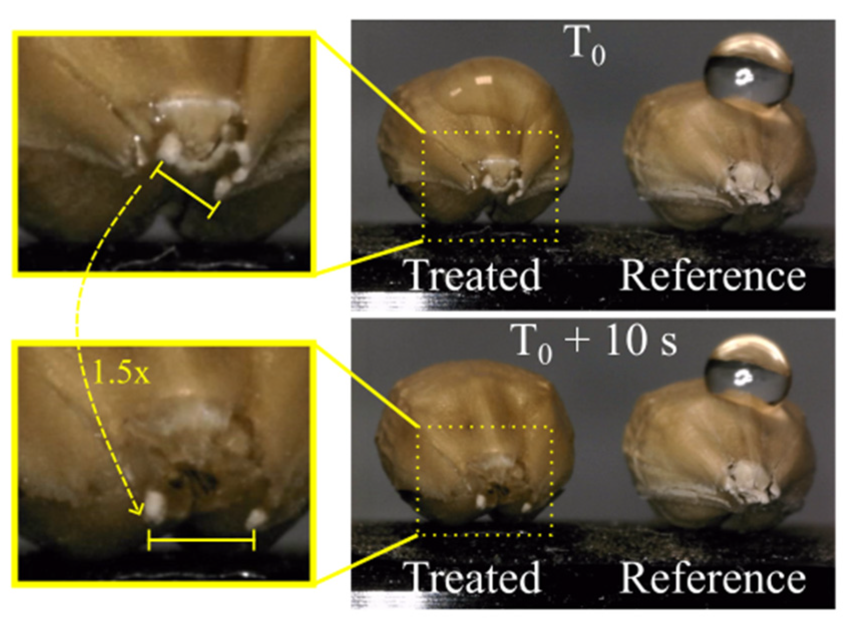 Plasma 08 00011 g015