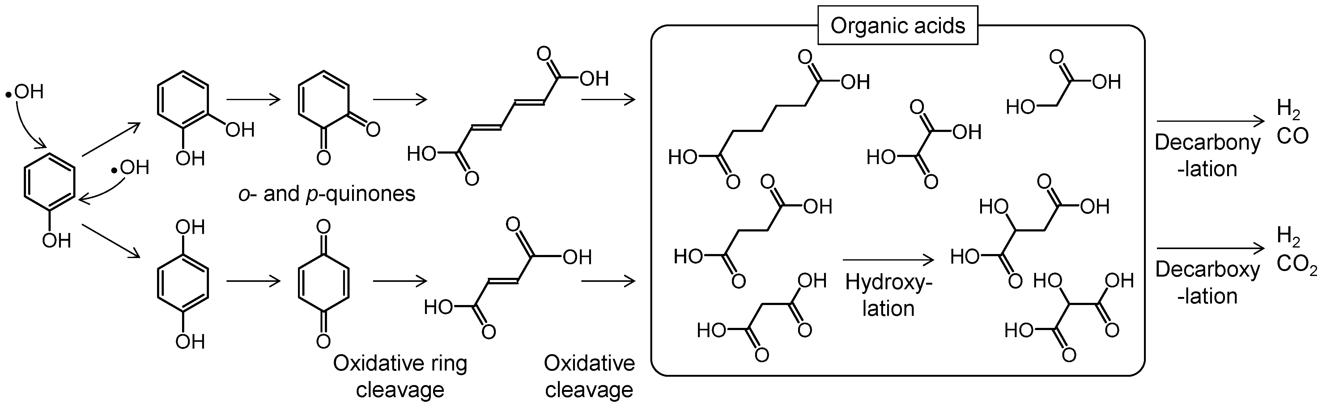 Plasma 08 00014 g015