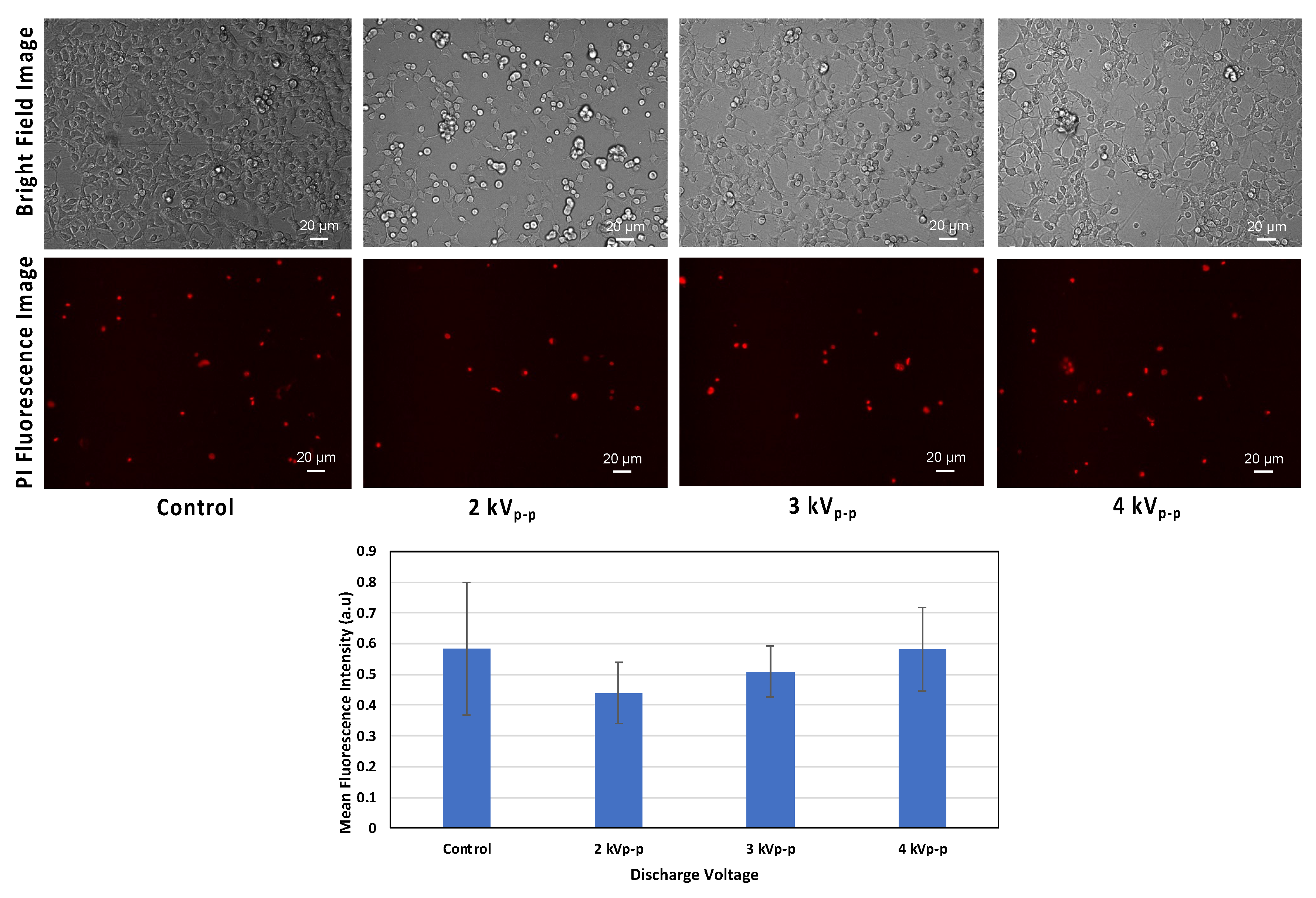 Plasma 08 00015 g007