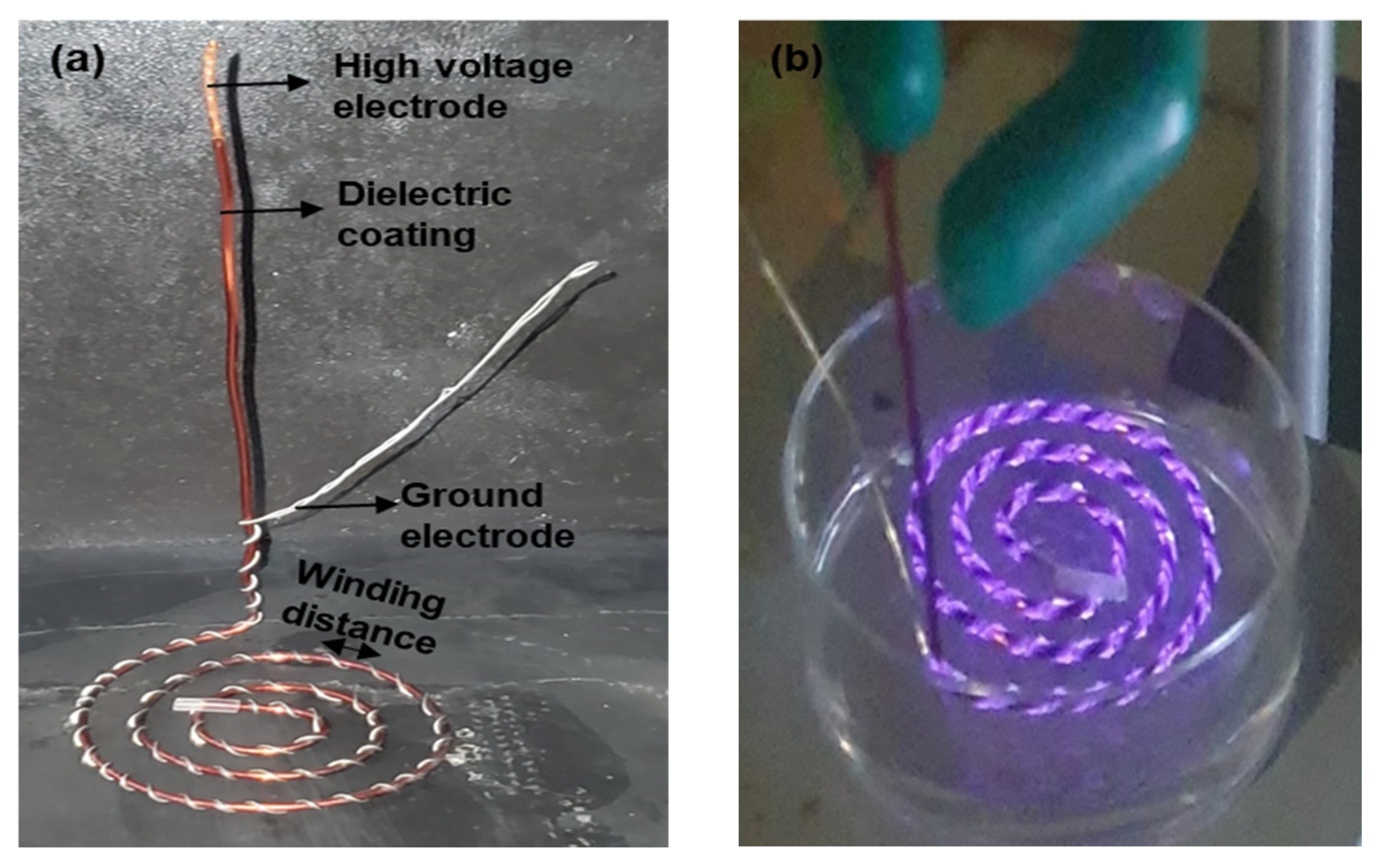 Plasma 08 00015 g008