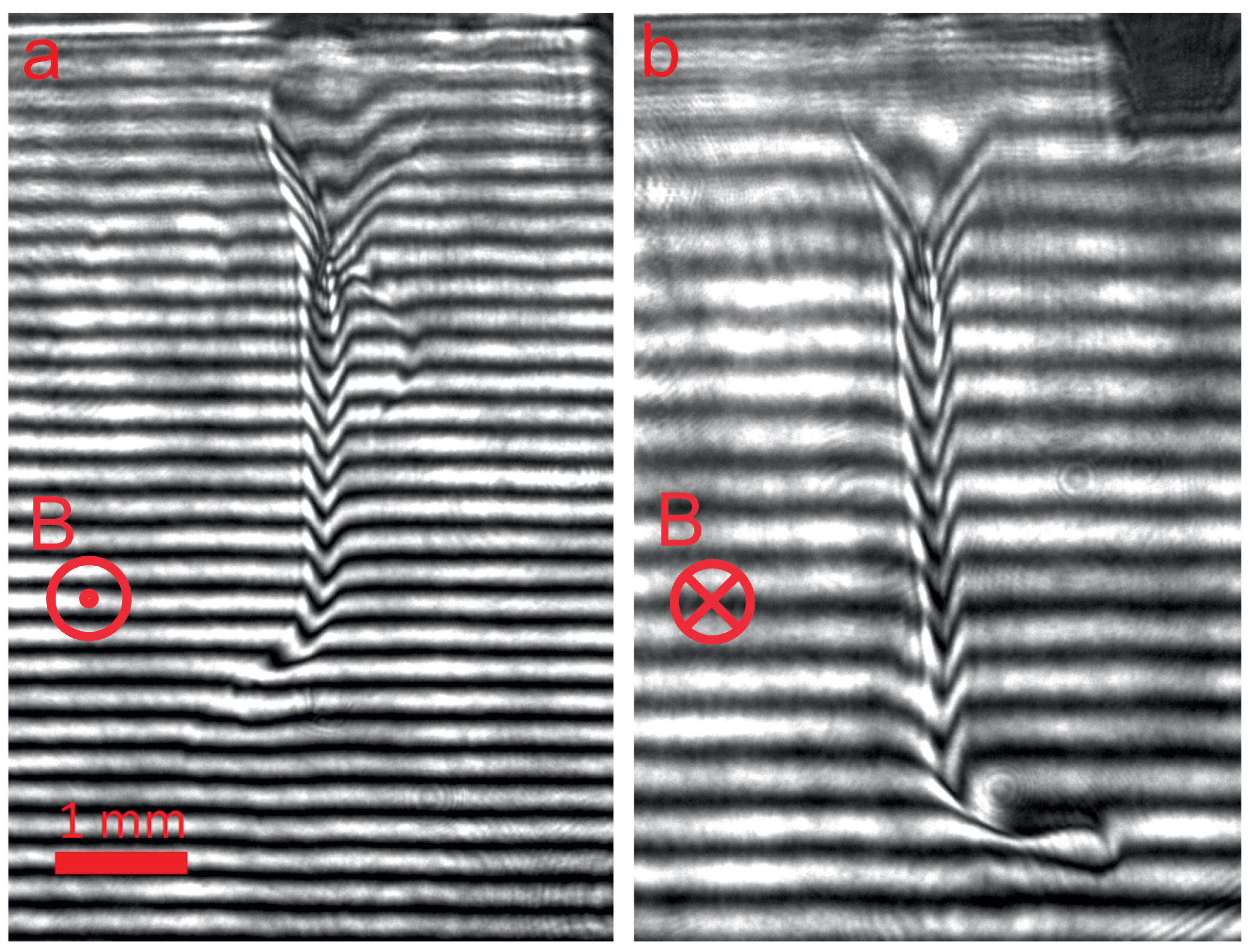 Plasma 08 00023 g004
