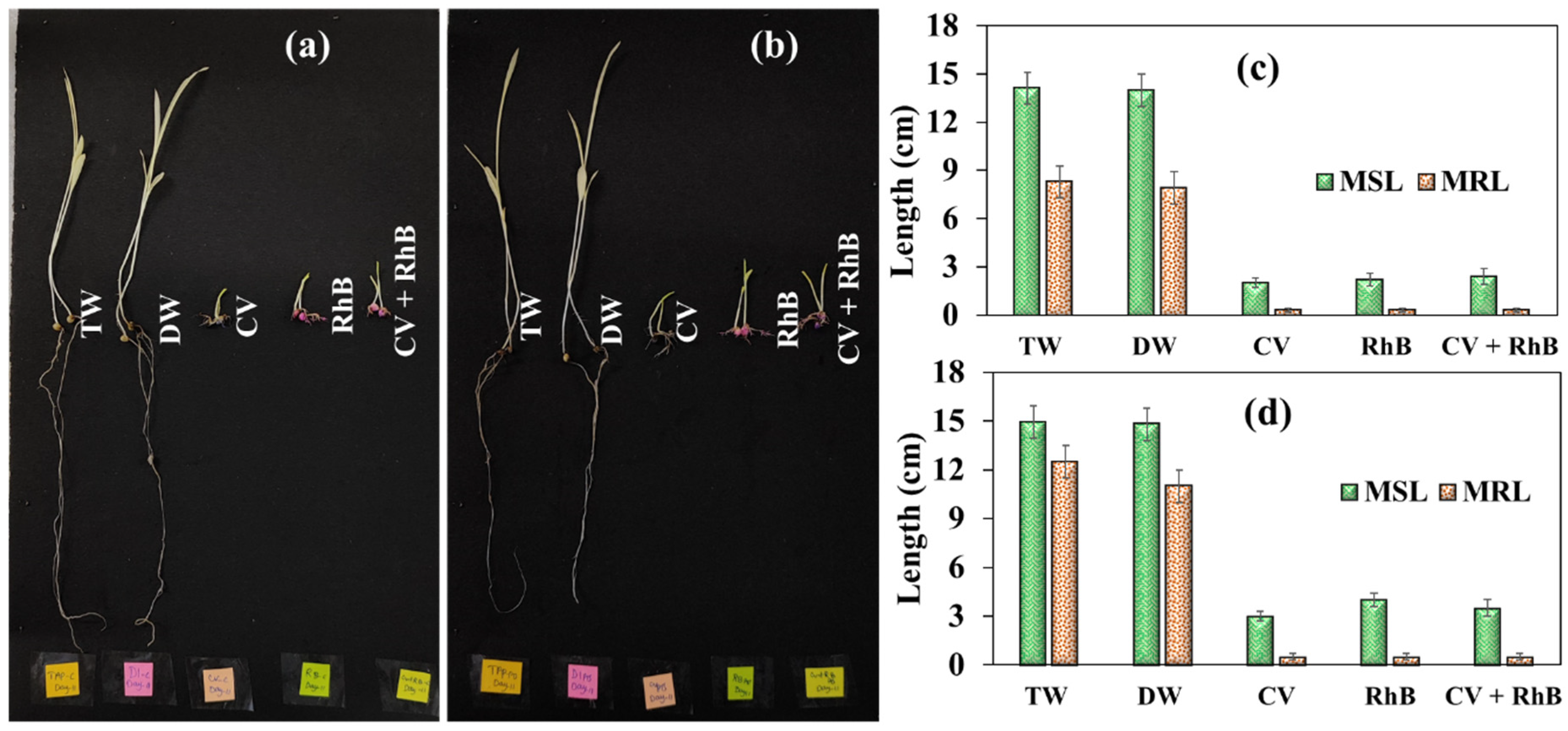 Plasma 08 00040 g006 Plasma 08 00040 g006