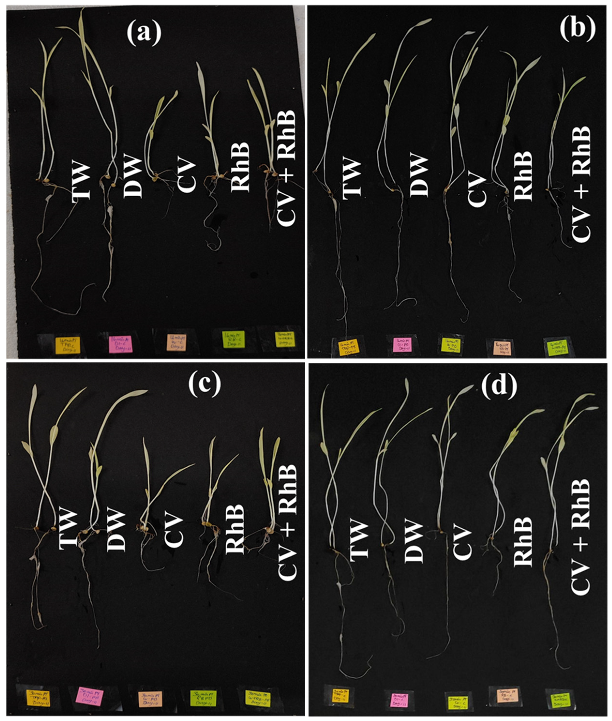 Plasma 08 00040 g008 Plasma 08 00040 g008
