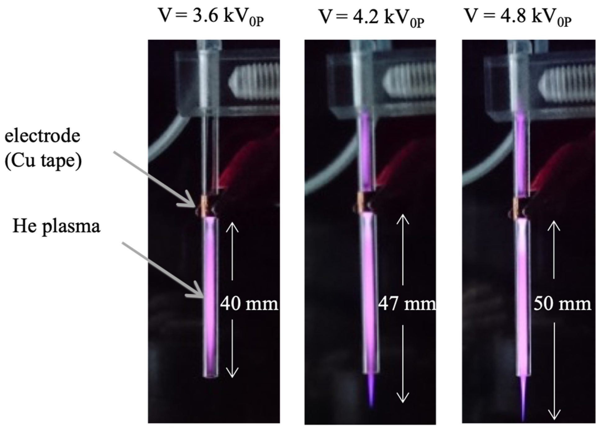Plasma 09 00008 g004
