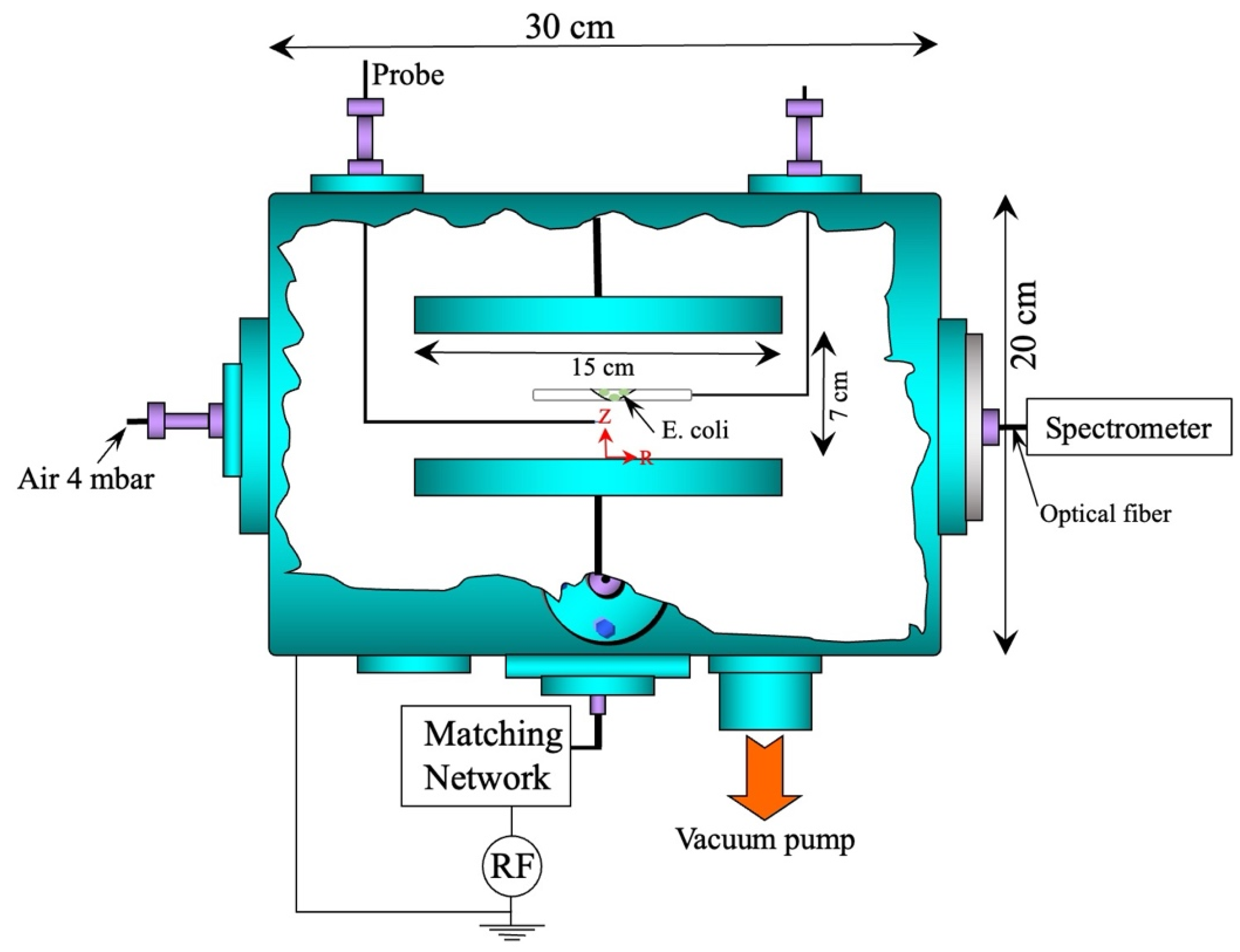 Plasma 09 00010 g001 Plasma 09 00010 g001