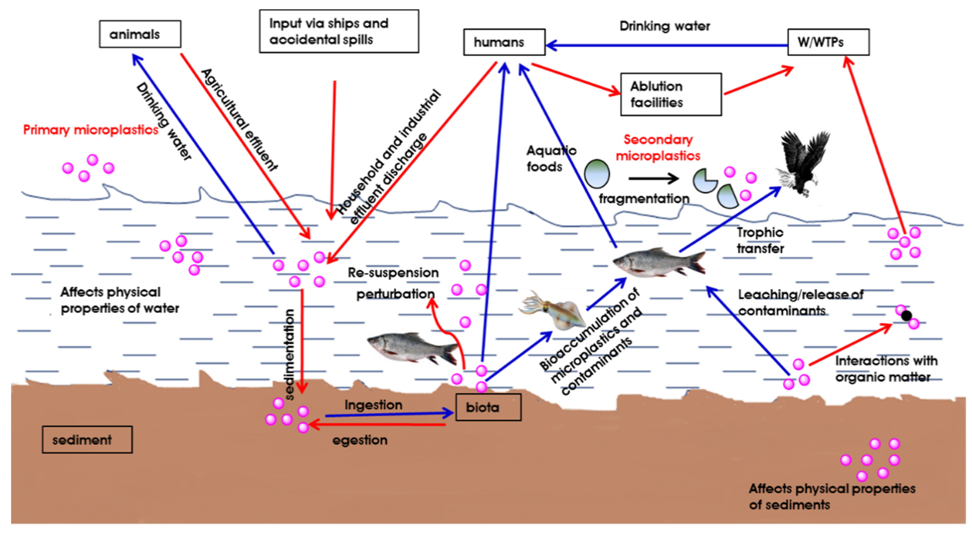 Pollutants 01 00009 g003 Pollutants 01 00009 g003