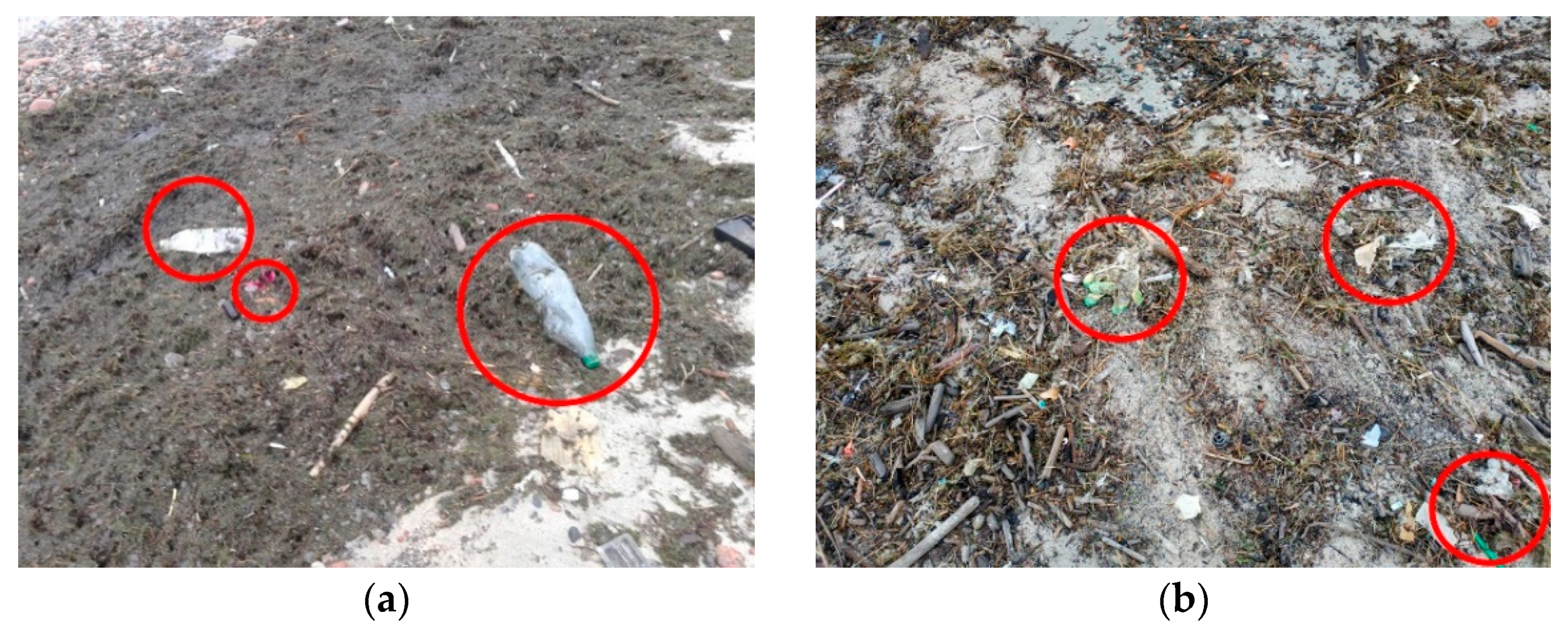 Pollutants 01 00013 g001