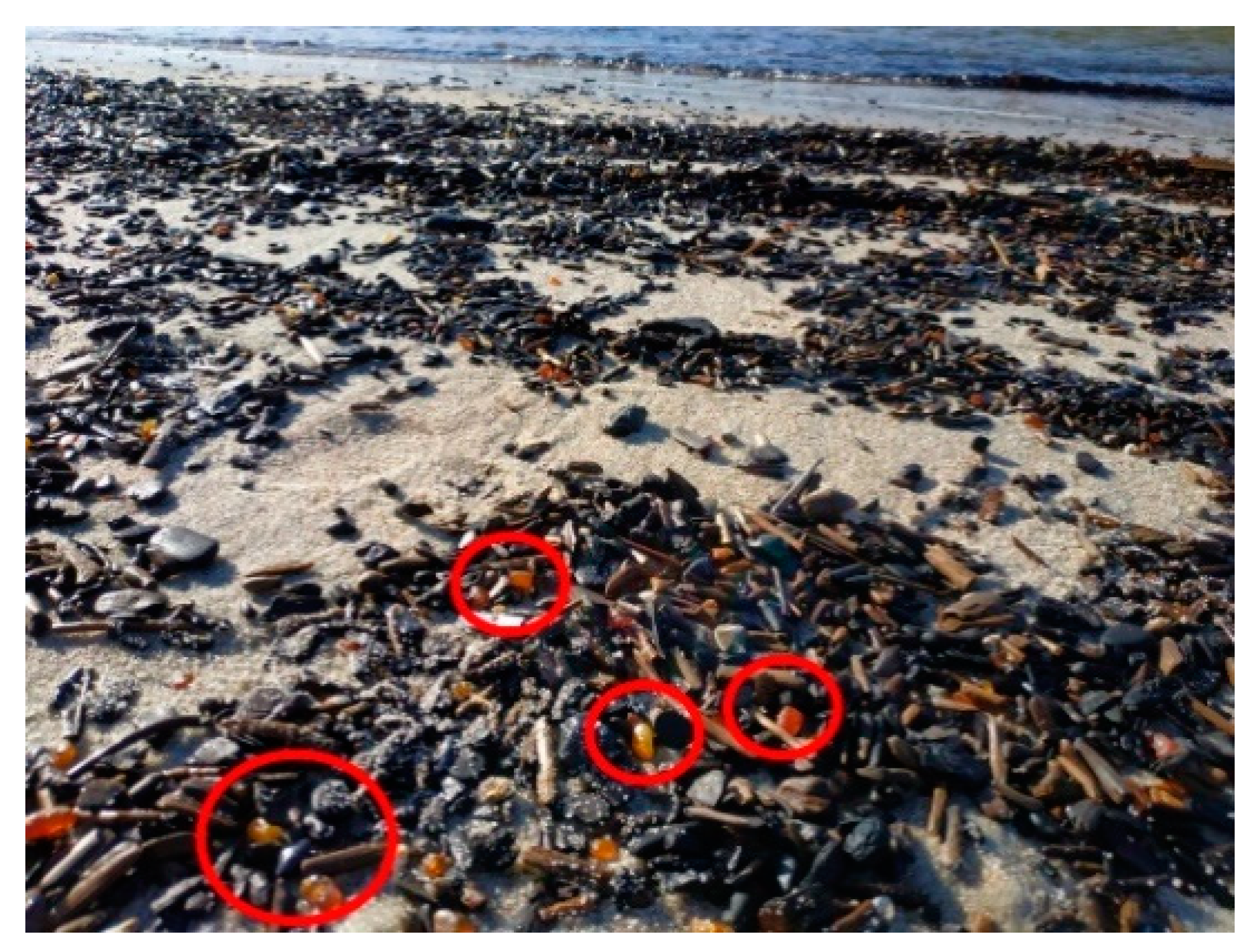 Pollutants 01 00013 g002