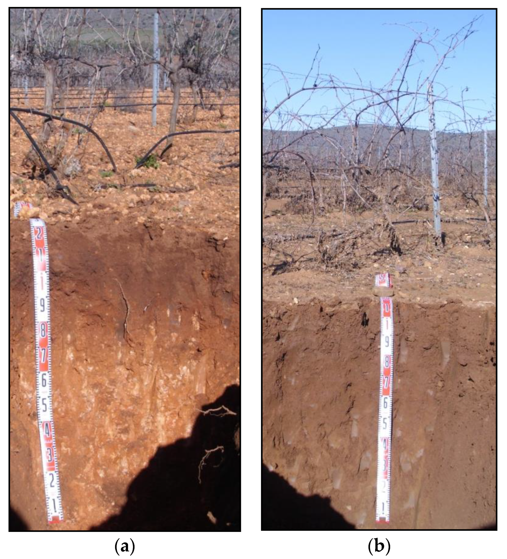 Pollutants 03 00010 g002