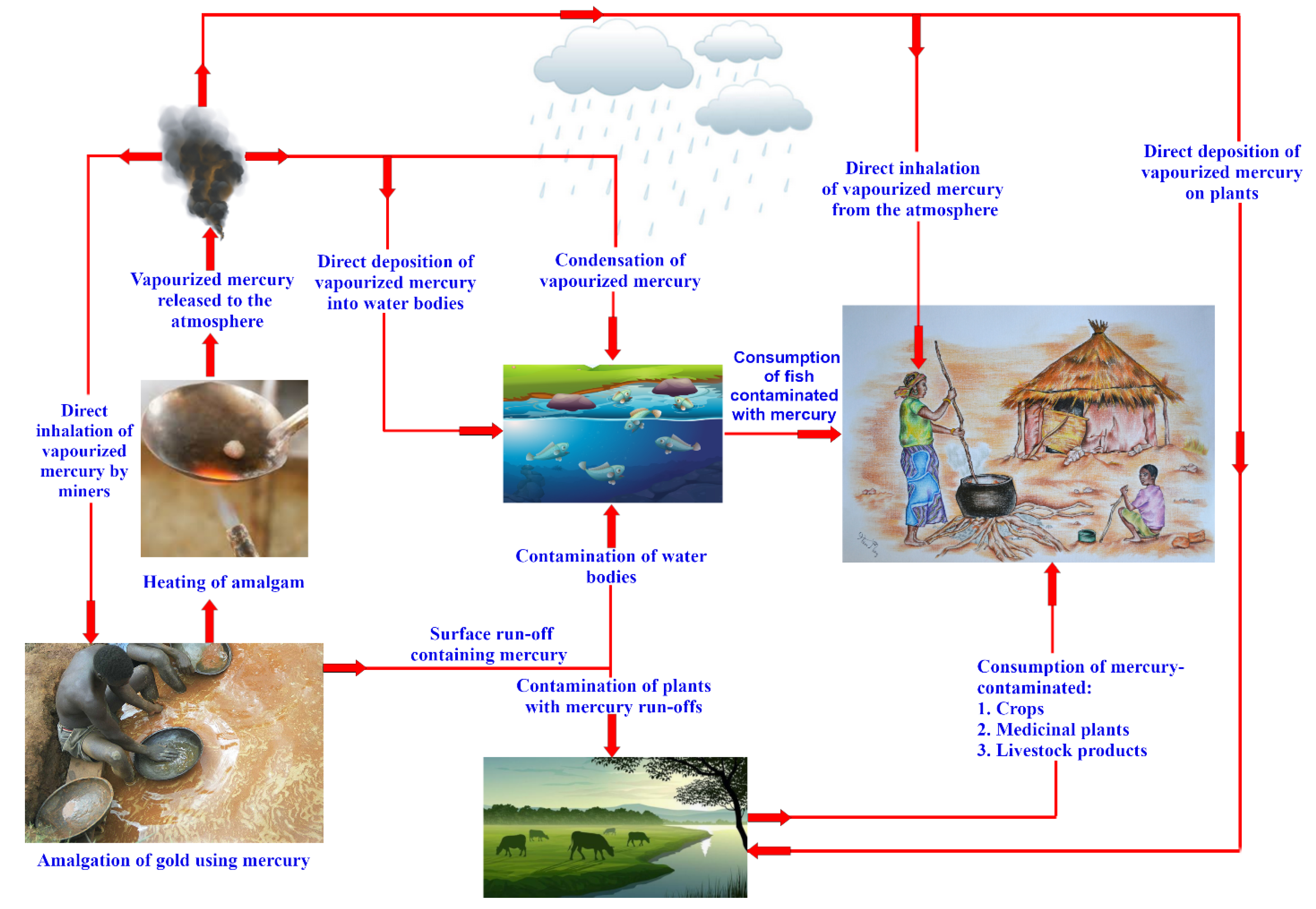 Pollutants 03 00014 g003 Pollutants 03 00014 g003