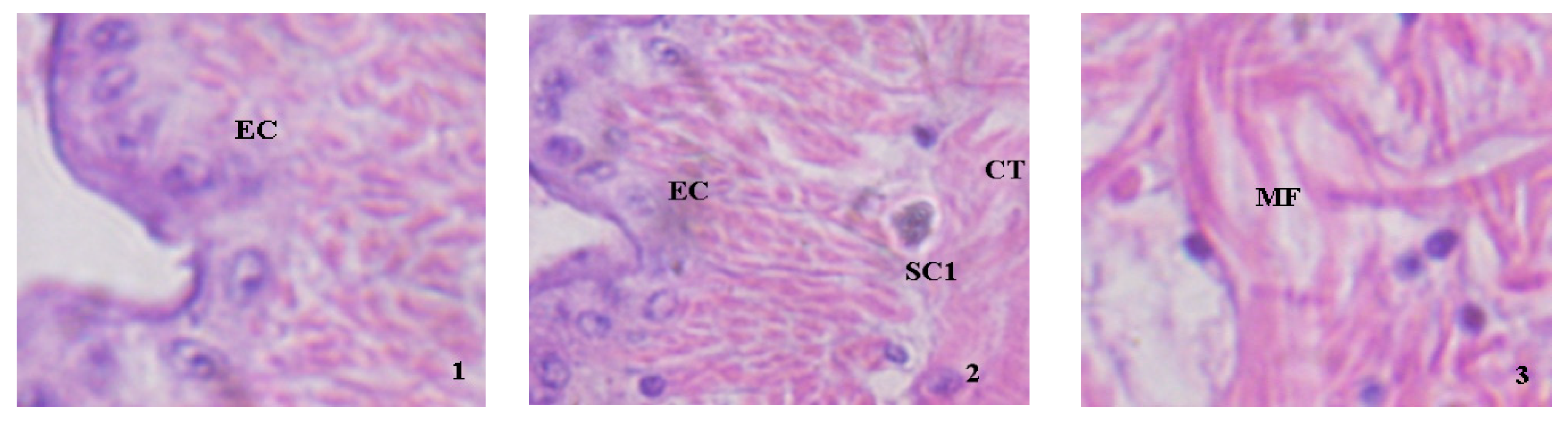 Pollutants 03 00017 g002a Pollutants 03 00017 g002a