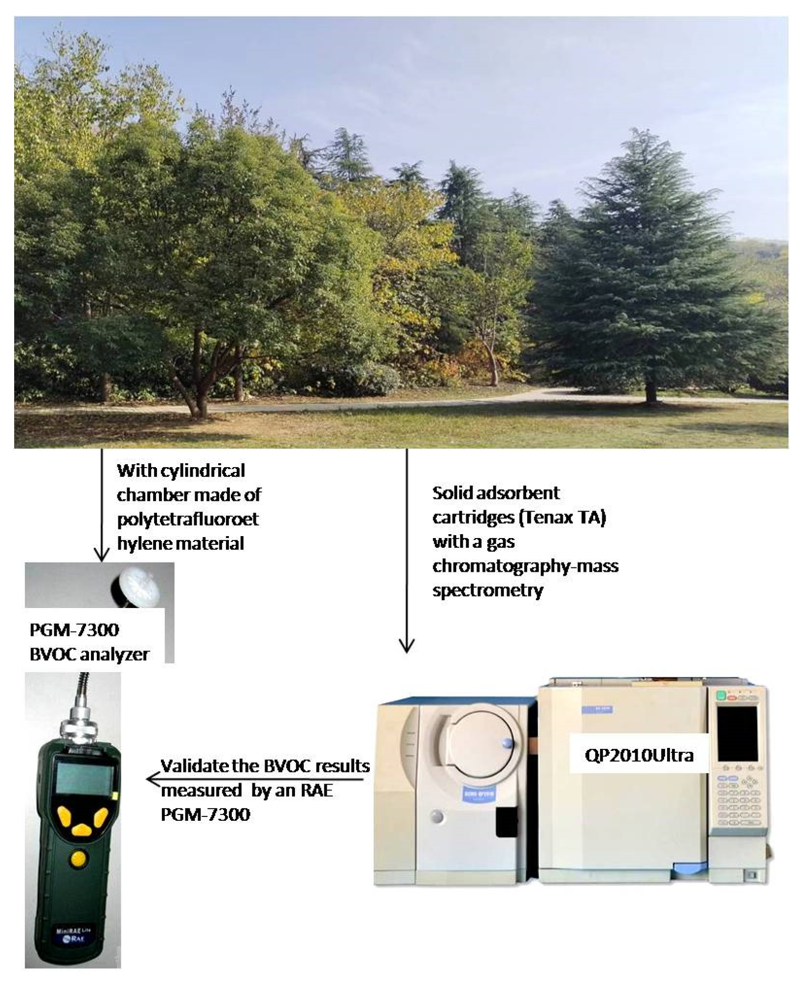 Pollutants 04 00012 g001