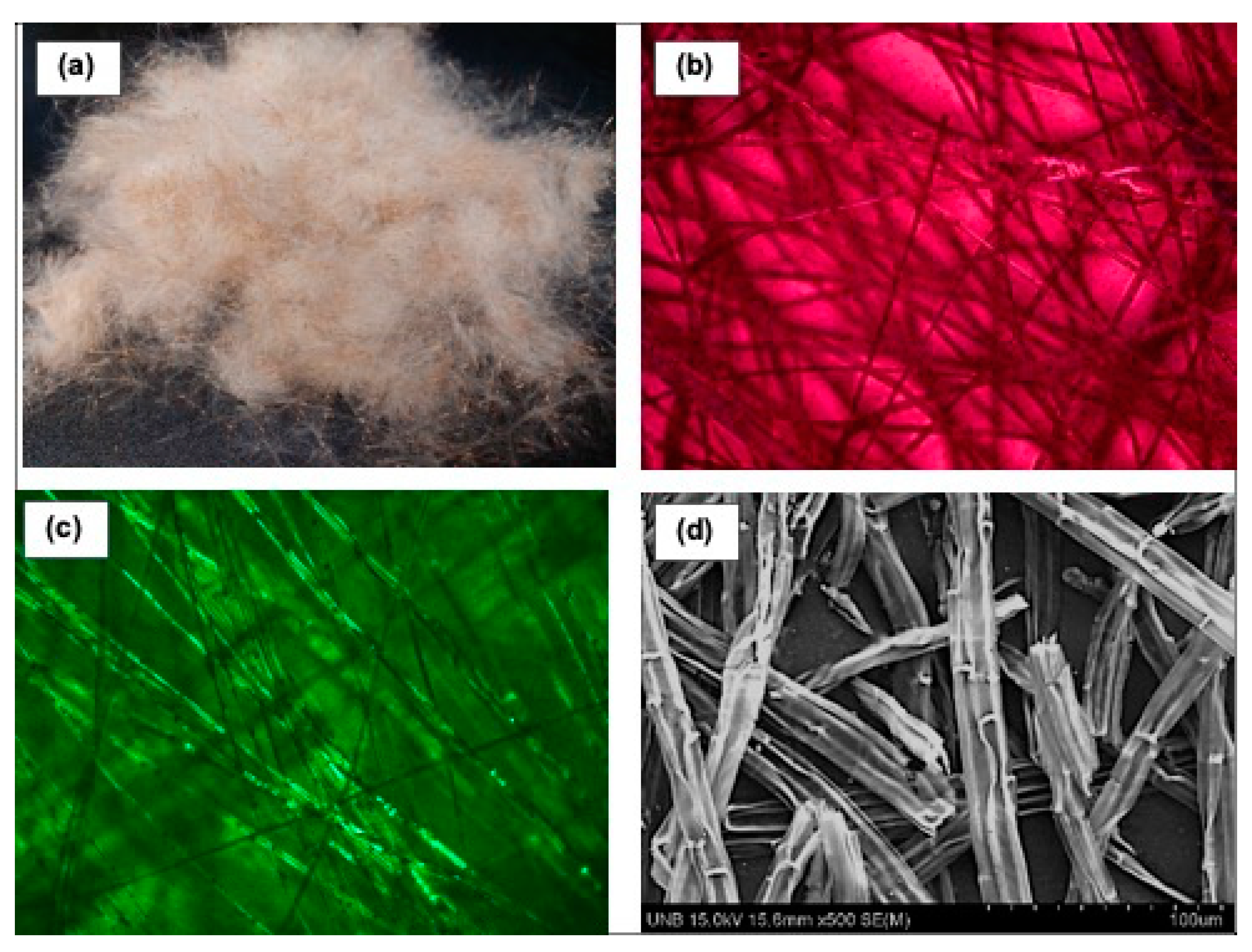 Pollutants 04 00015 g004 Pollutants 04 00015 g004