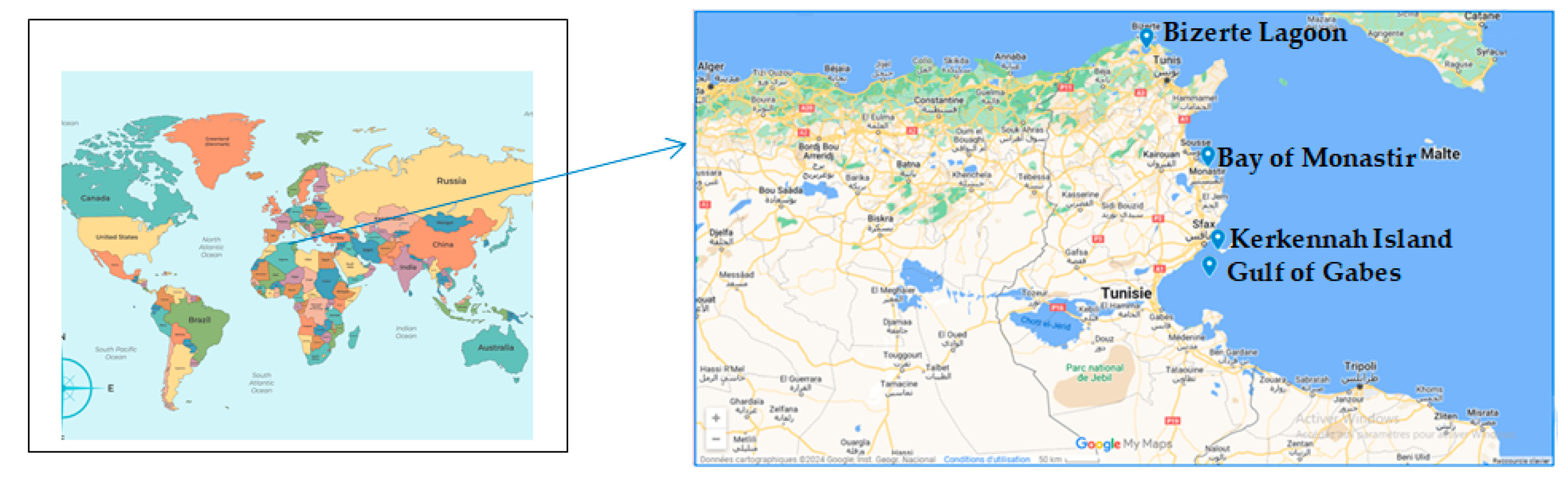 Pollutants 05 00023 g001 Pollutants 05 00023 g001