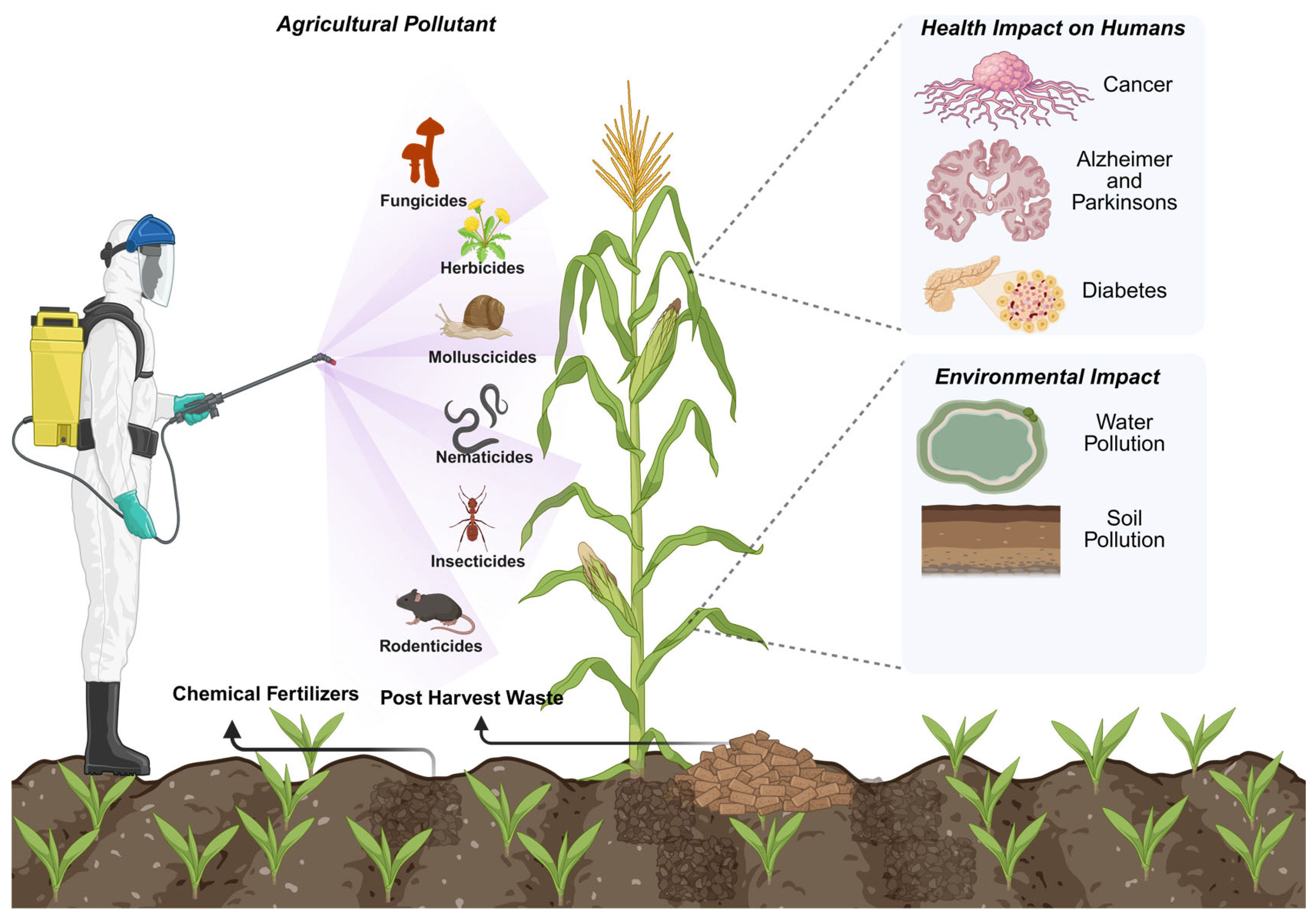 Pollutants 05 00037 g001 Pollutants 05 00037 g001